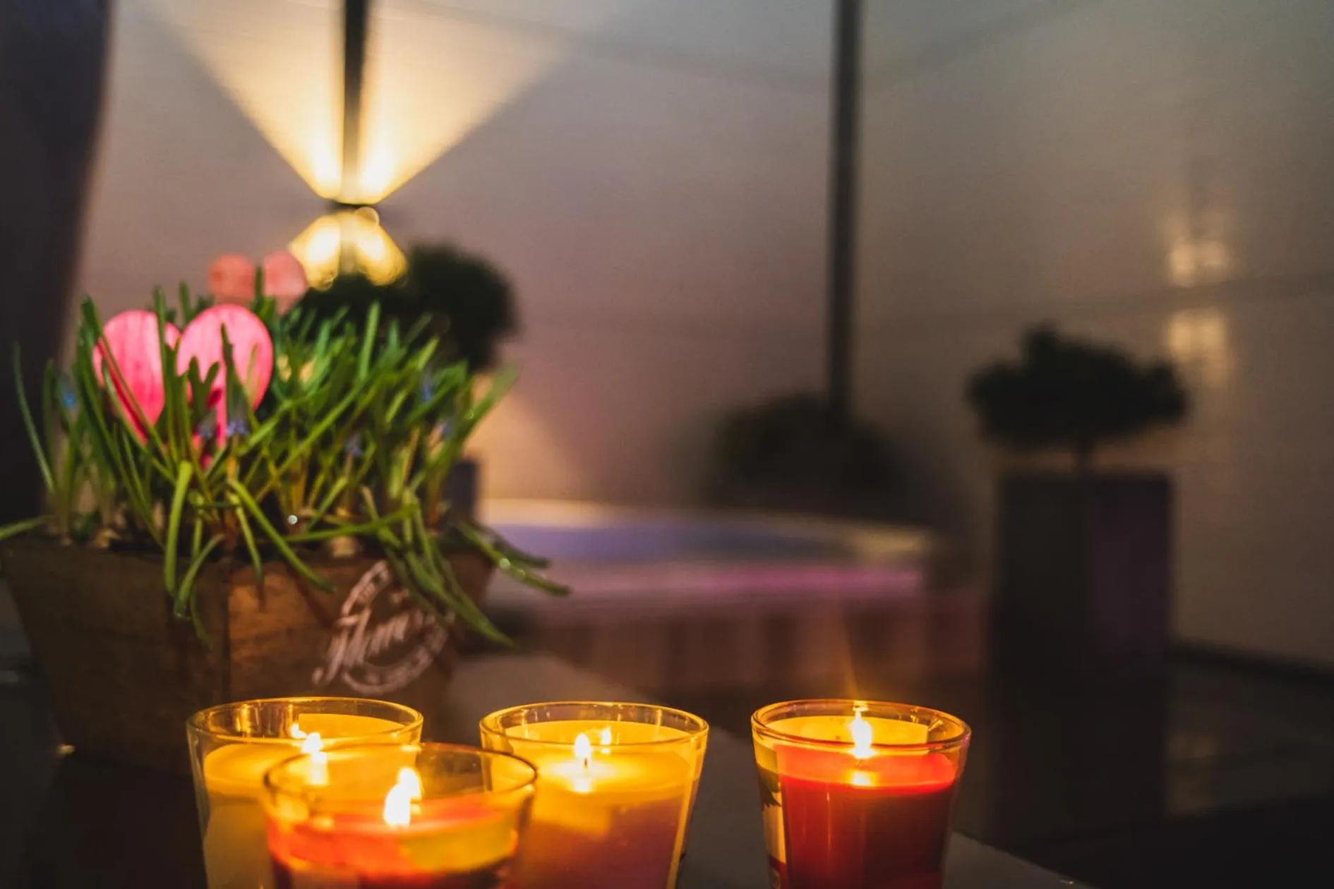 Villa Cecha B&b &Wellness