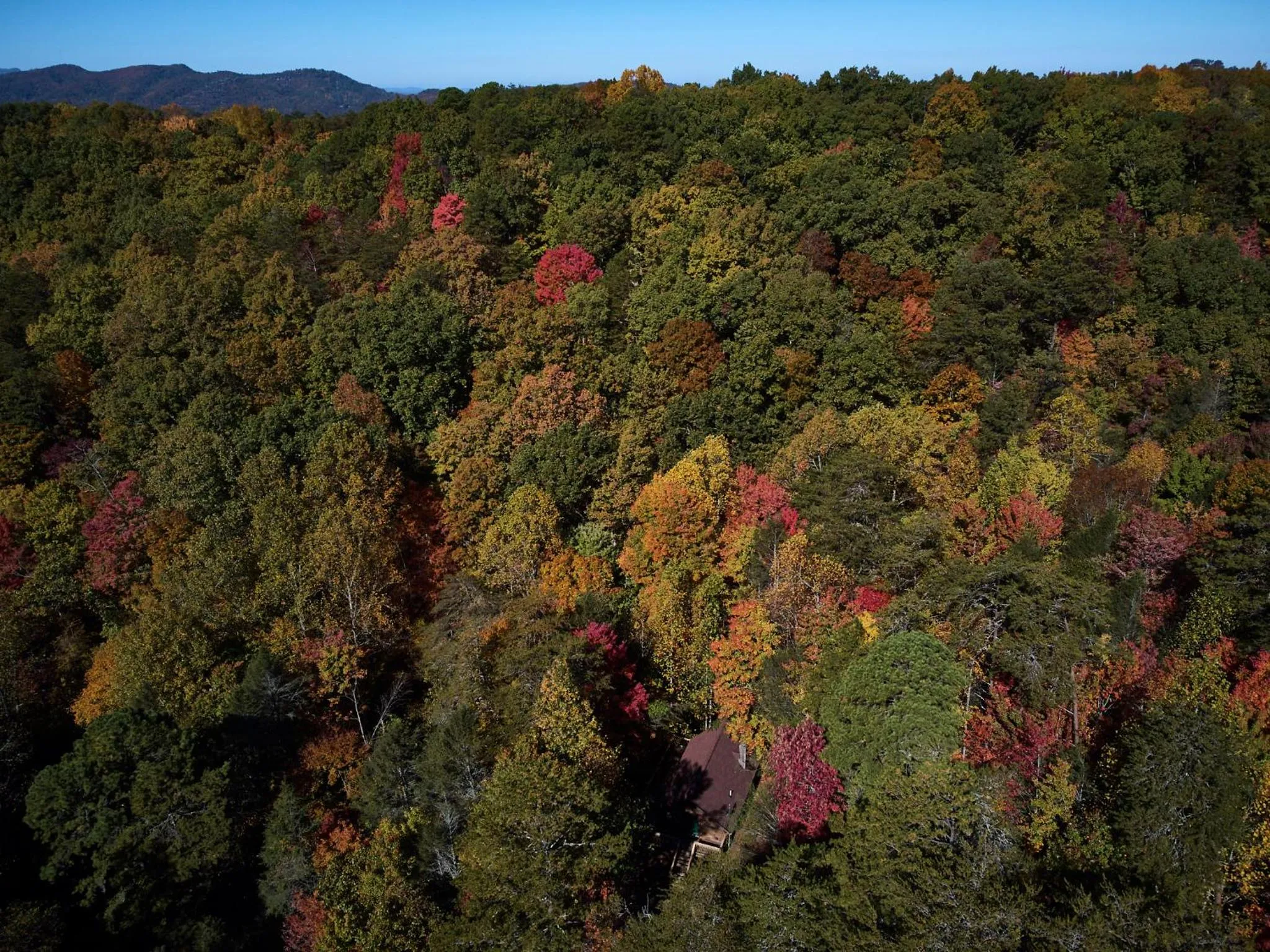 Gatlinburg Adventure Cabins