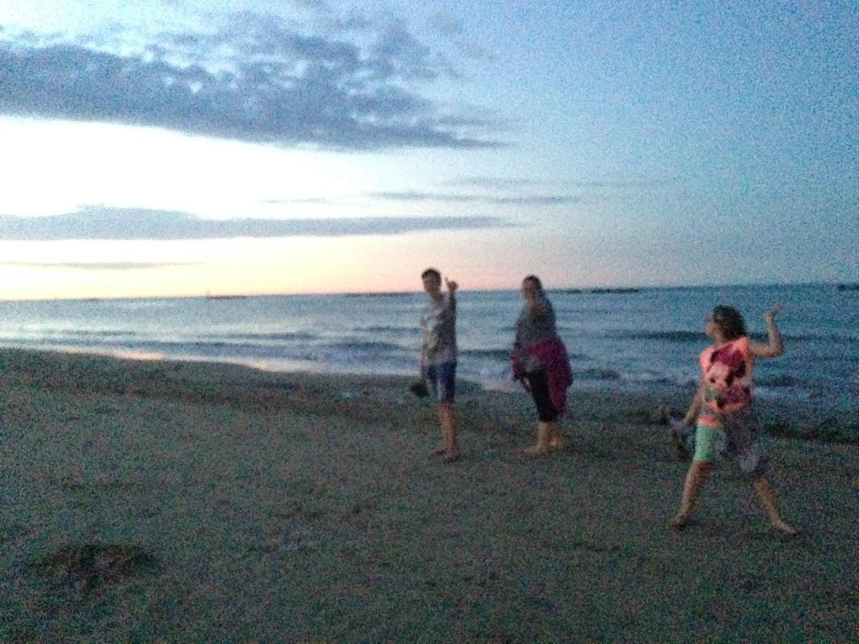 Beach in Hotel Albatros