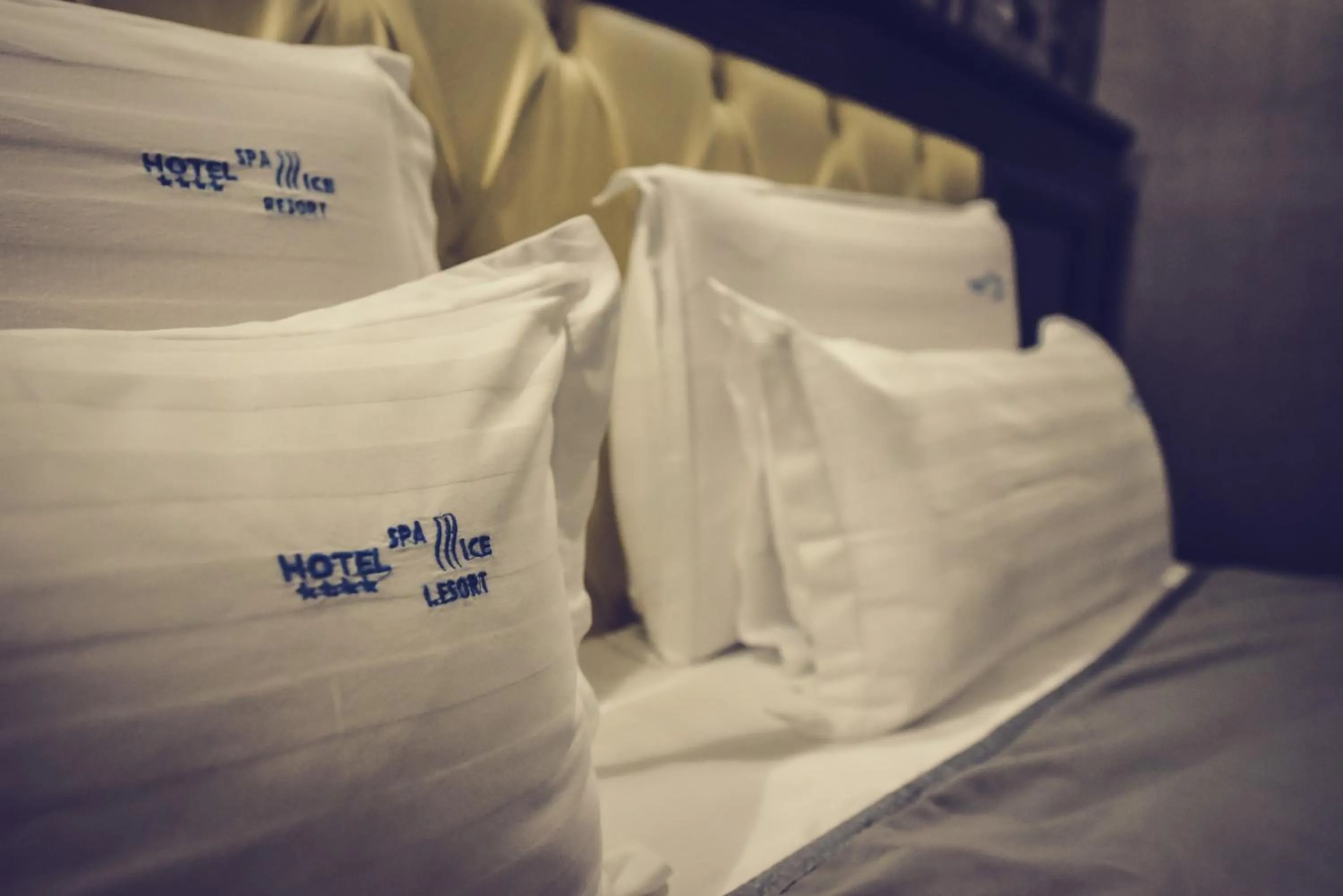 Decorative detail, Bed in Hotel Spa Ice Resort