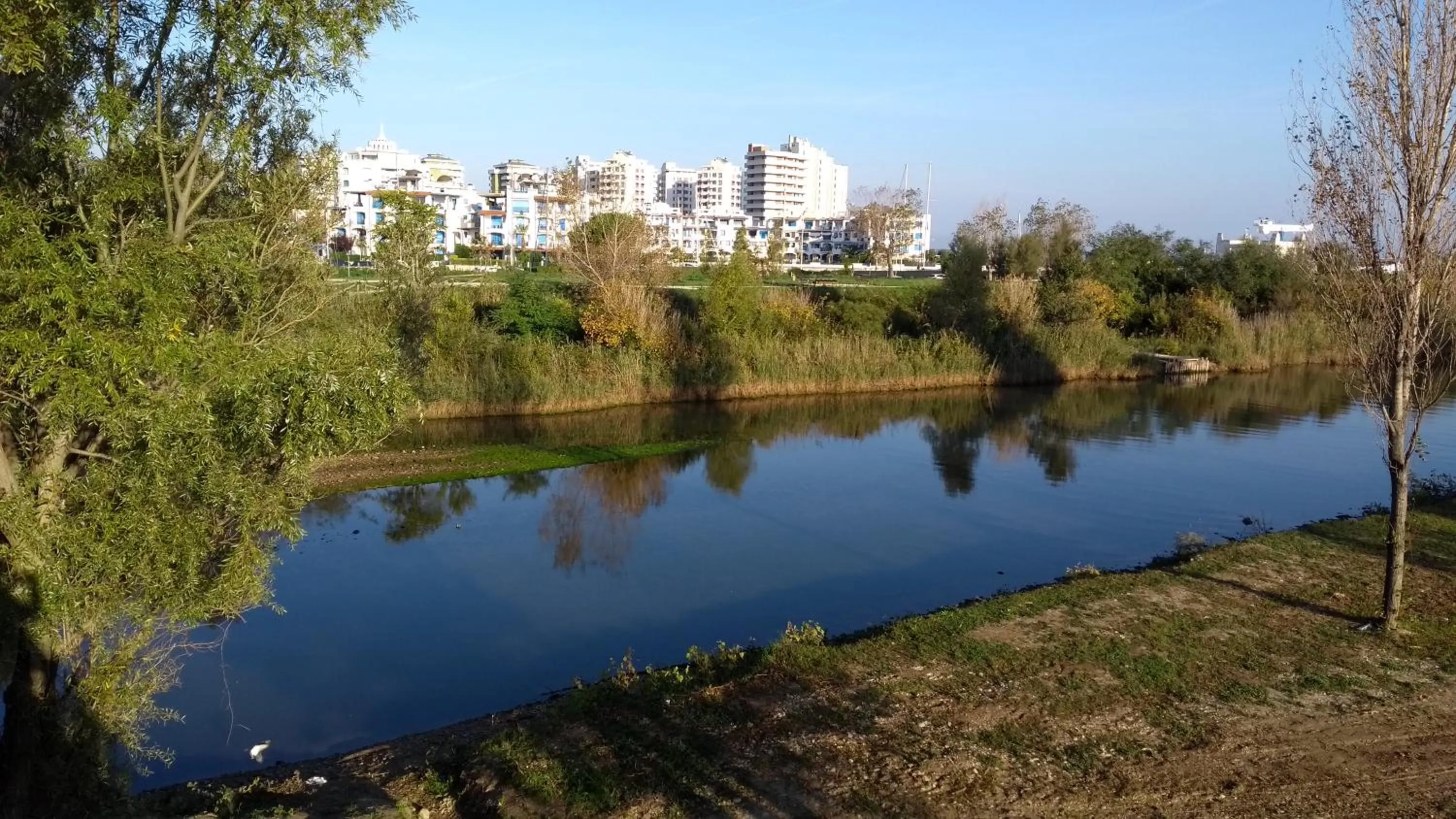 Natural landscape in Portoverde Beach Apartments