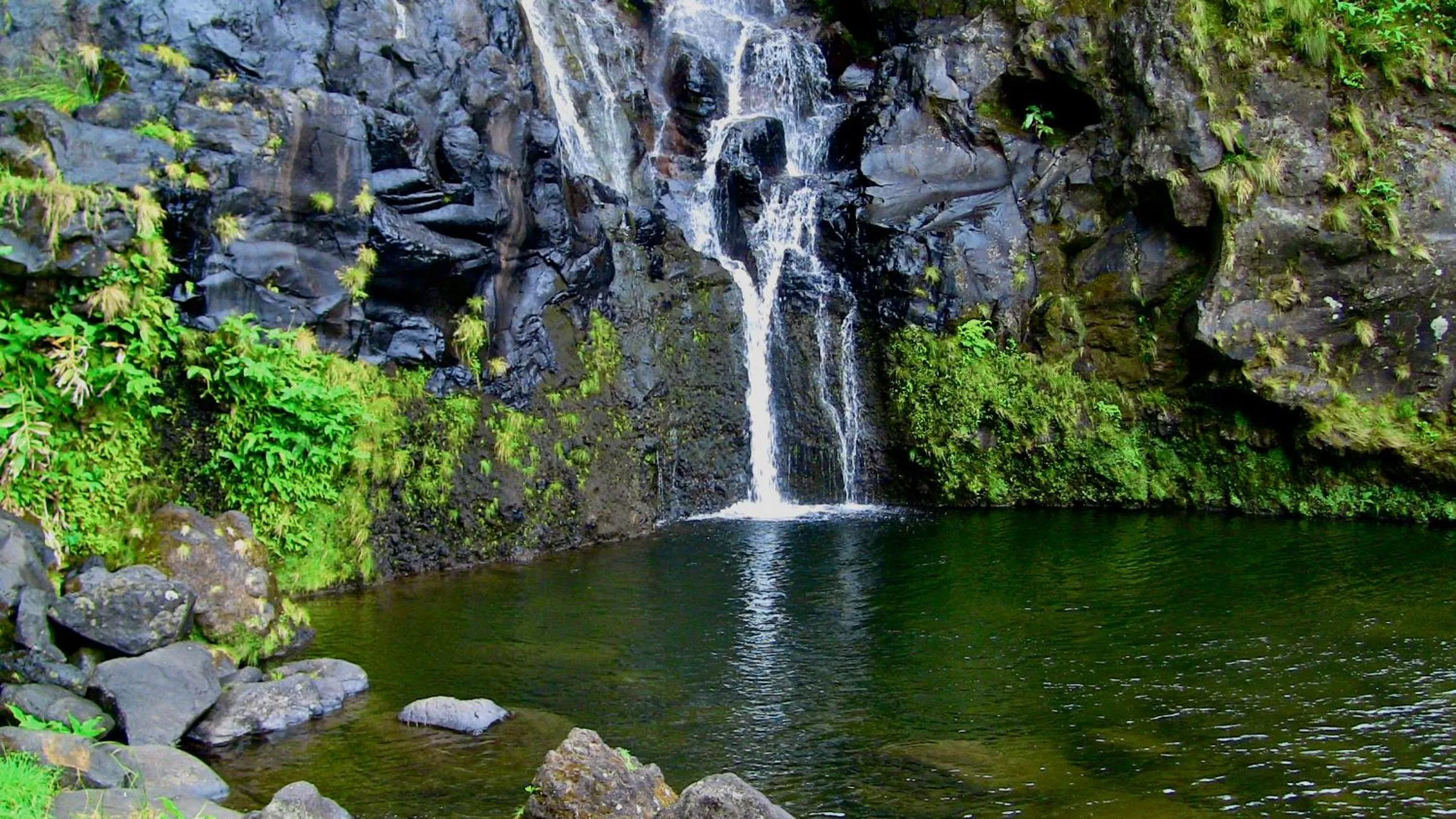 Area and facilities in Alojamentos Flores Island