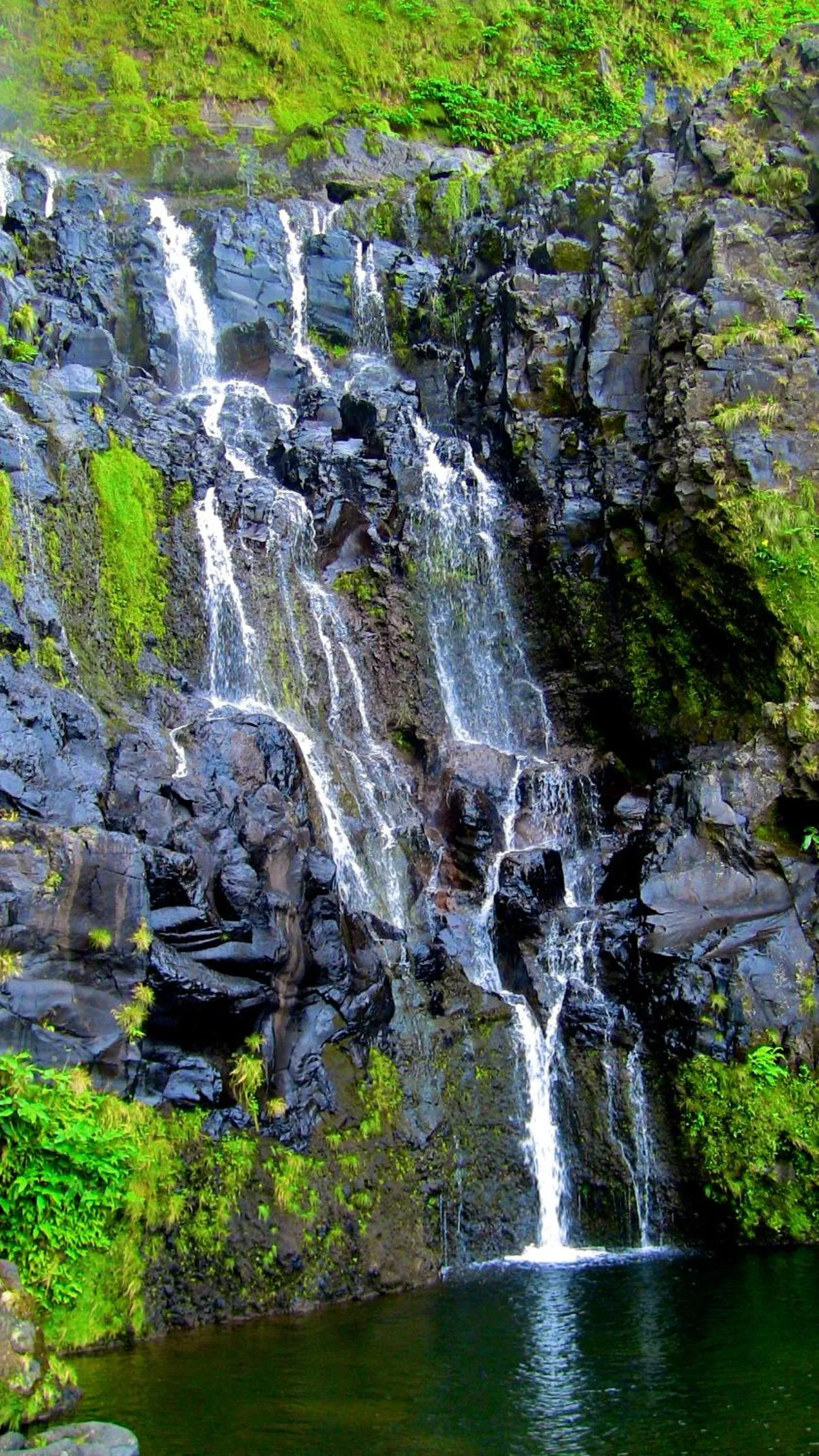 Area and facilities in Alojamentos Flores Island