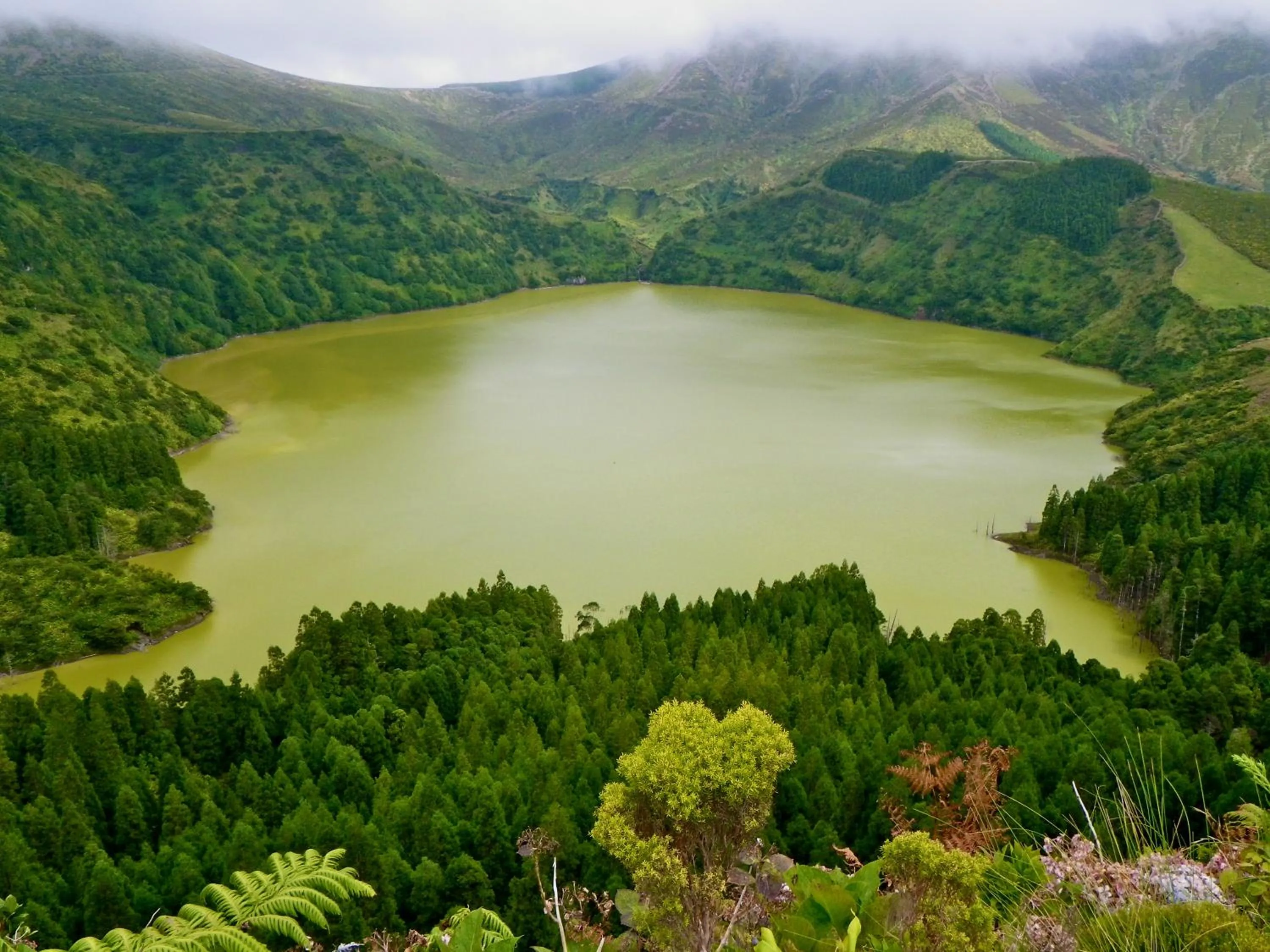 Area and facilities in Alojamentos Flores Island