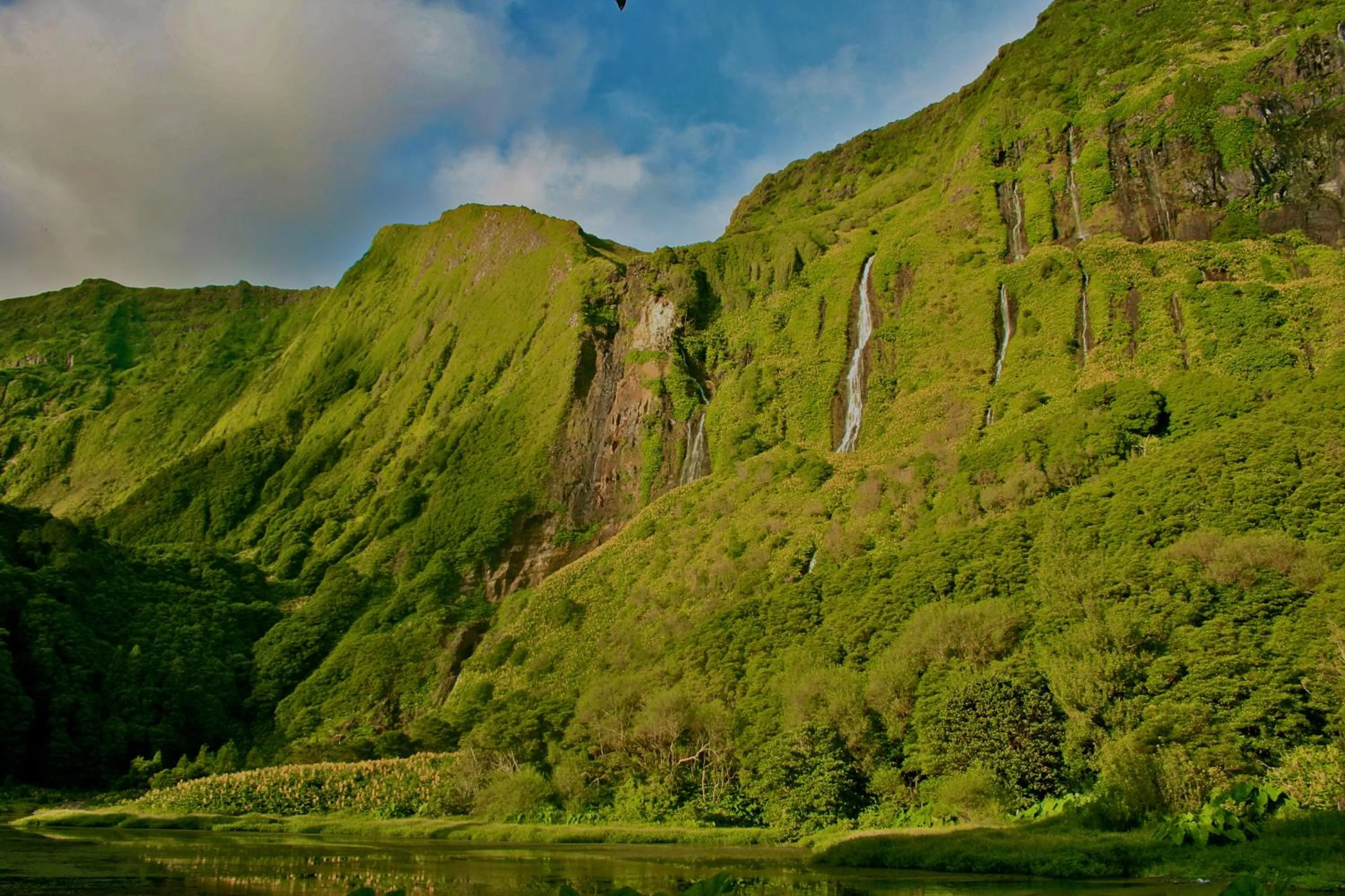 Area and facilities in Alojamentos Flores Island