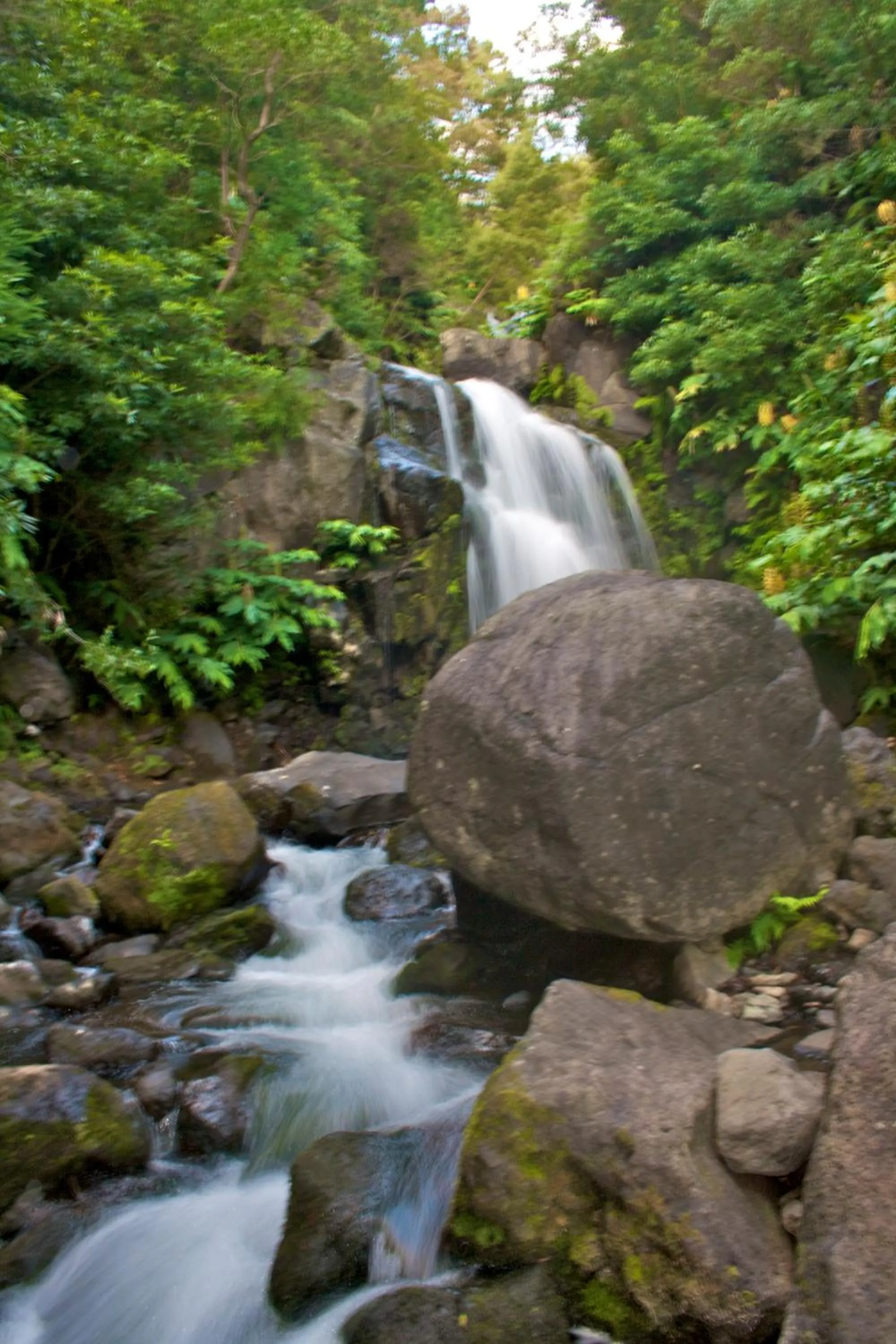 Area and facilities in Alojamentos Flores Island