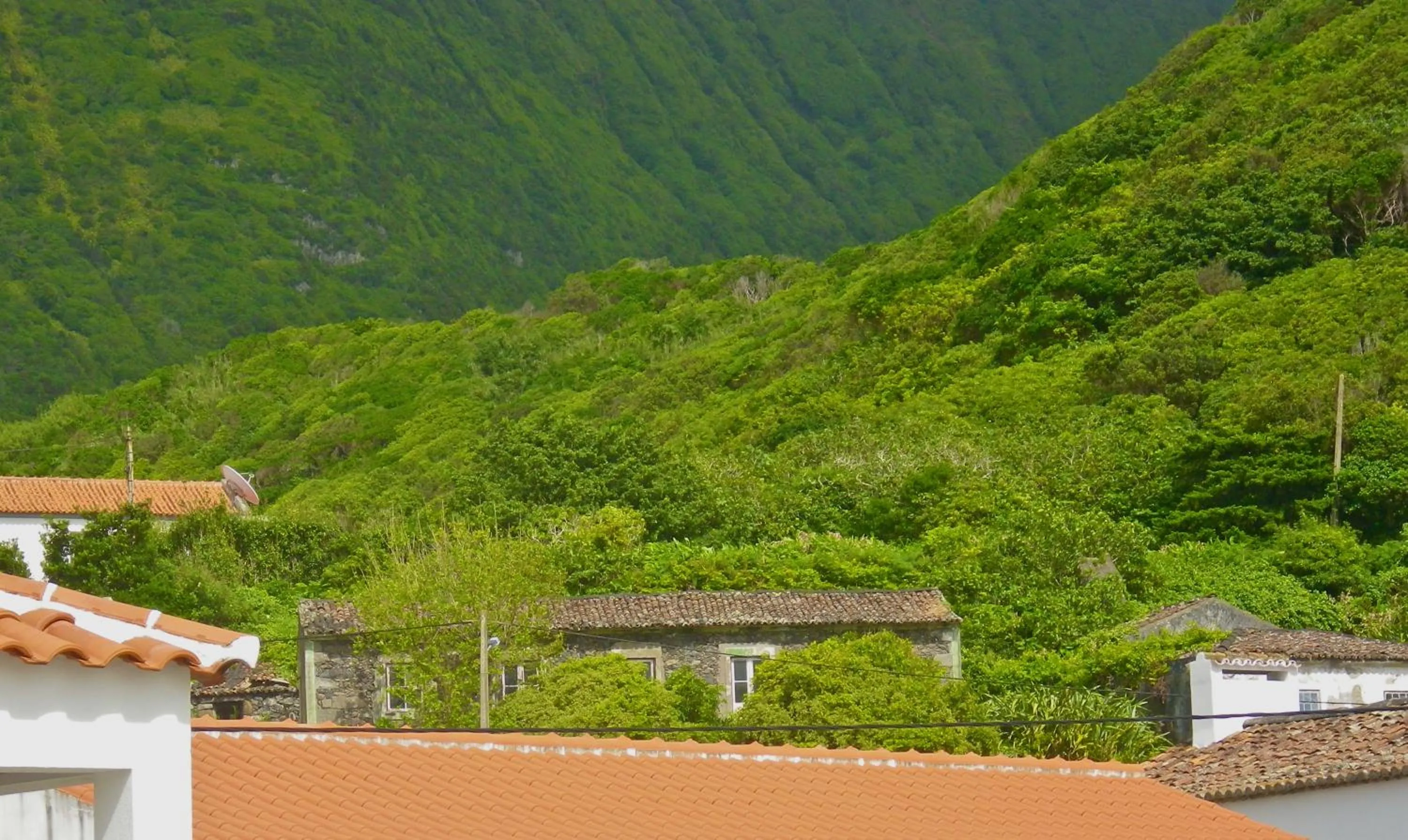 Area and facilities in Alojamentos Flores Island