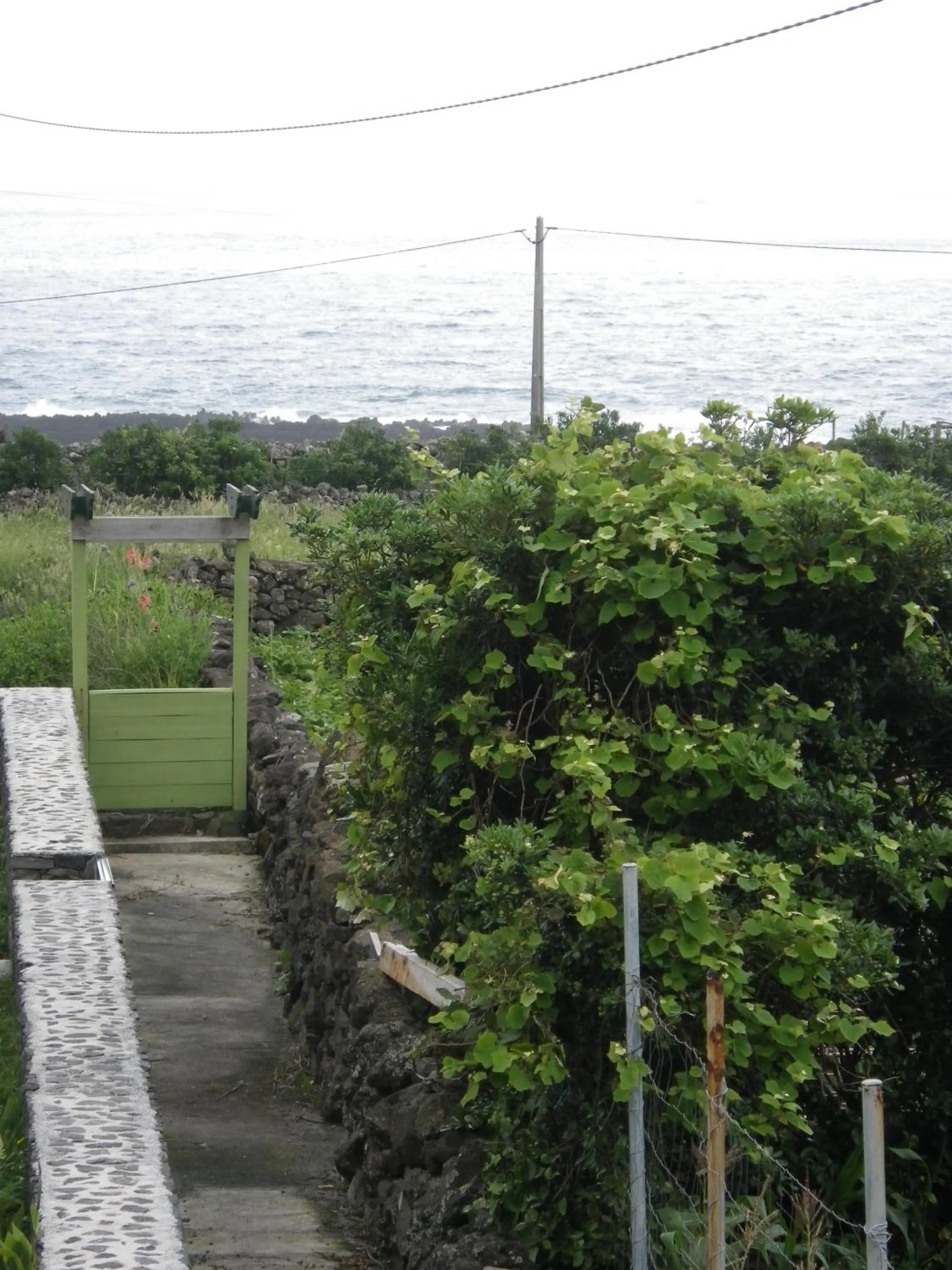 Area and facilities in Alojamentos Flores Island