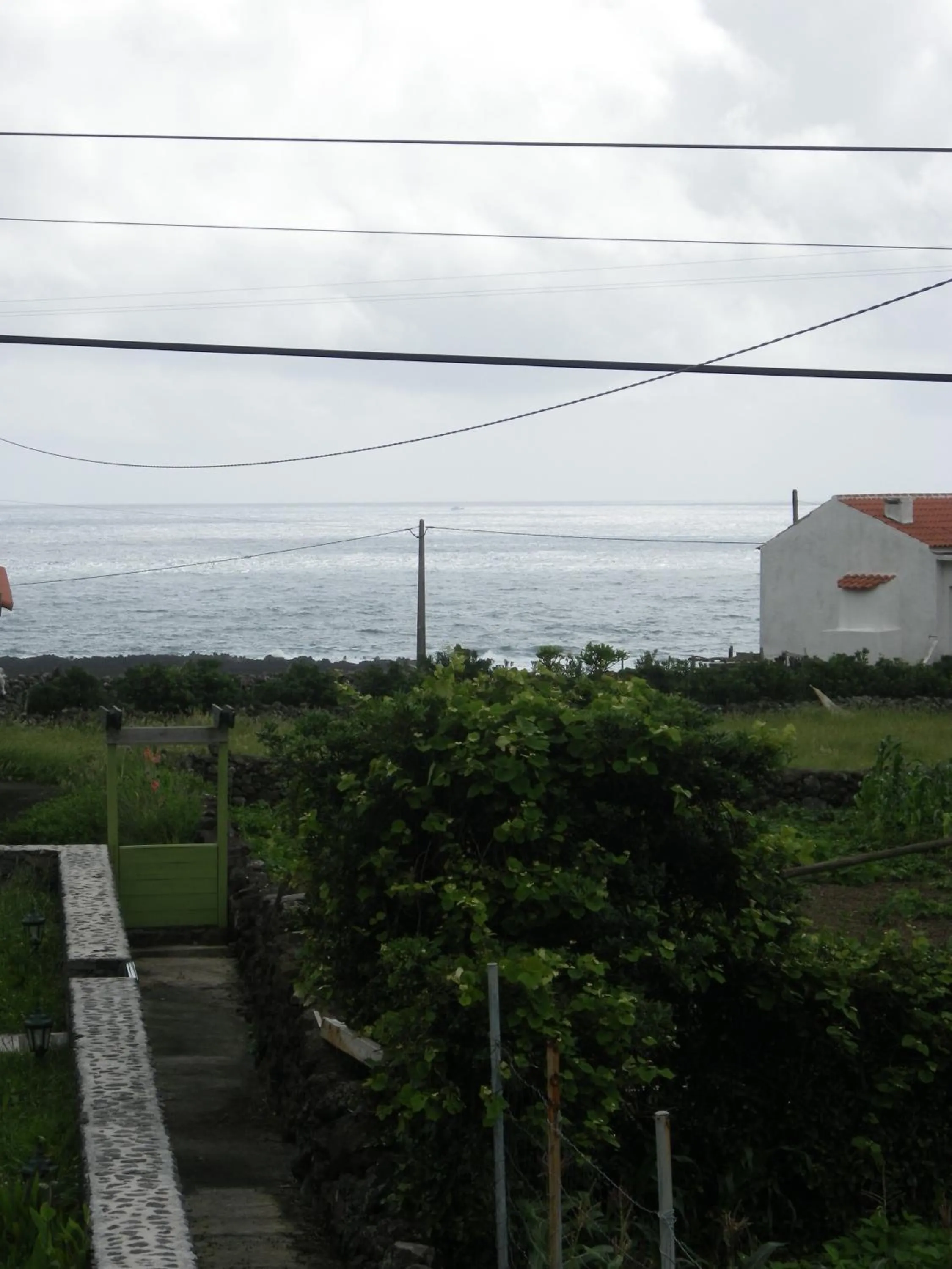 Area and facilities in Alojamentos Flores Island