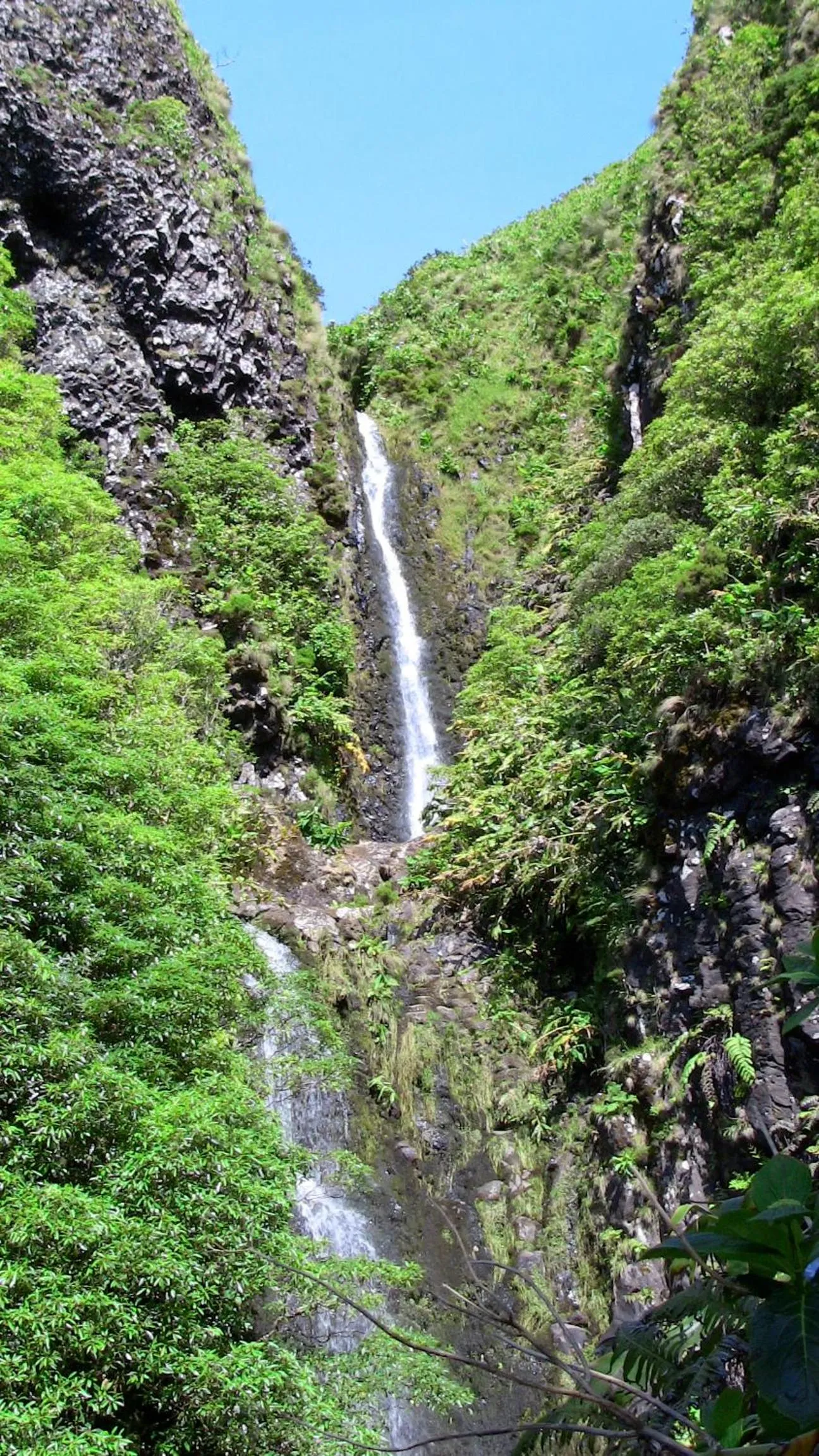 Area and facilities in Alojamentos Flores Island