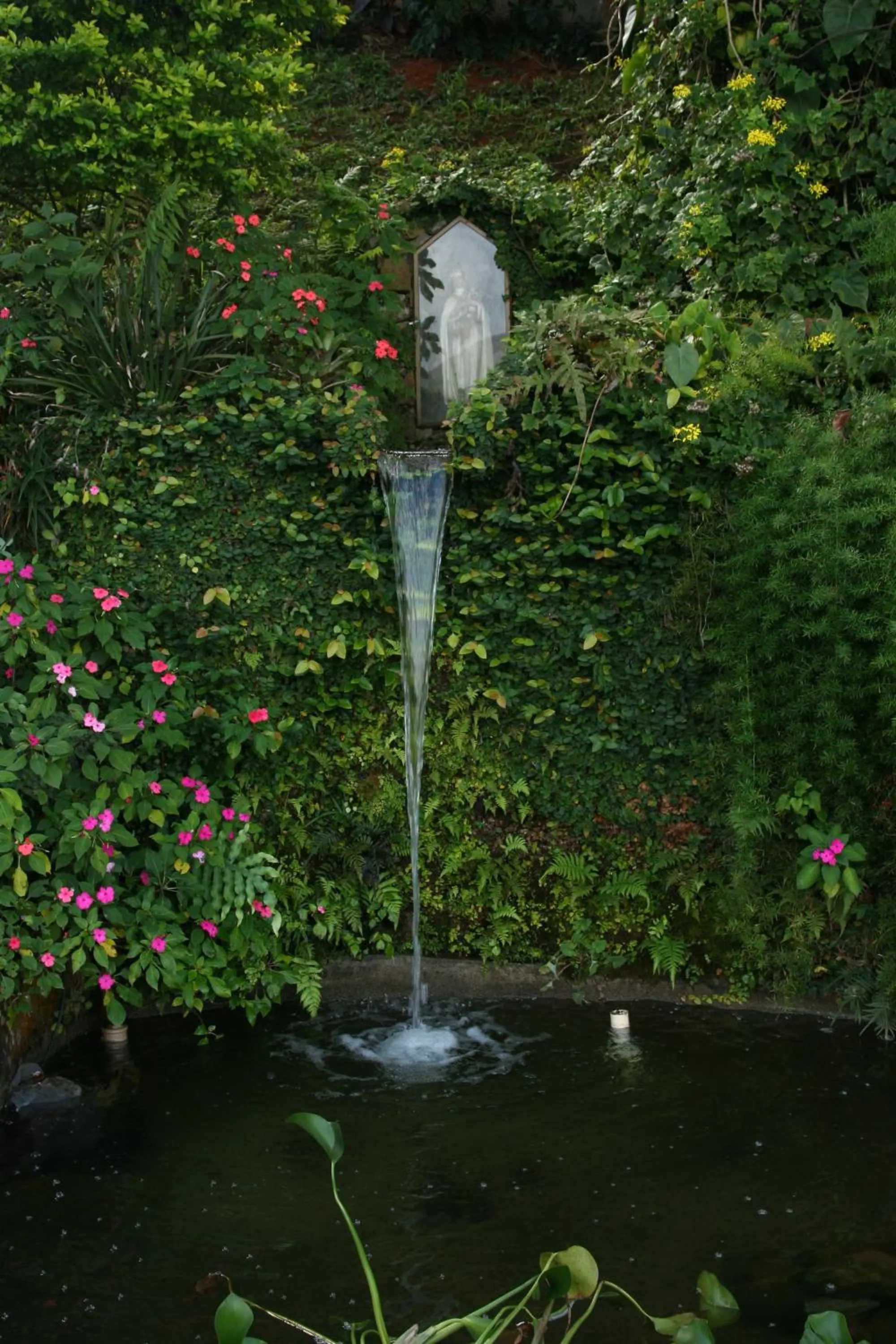 Natural landscape in Hotel Dominguez Master
