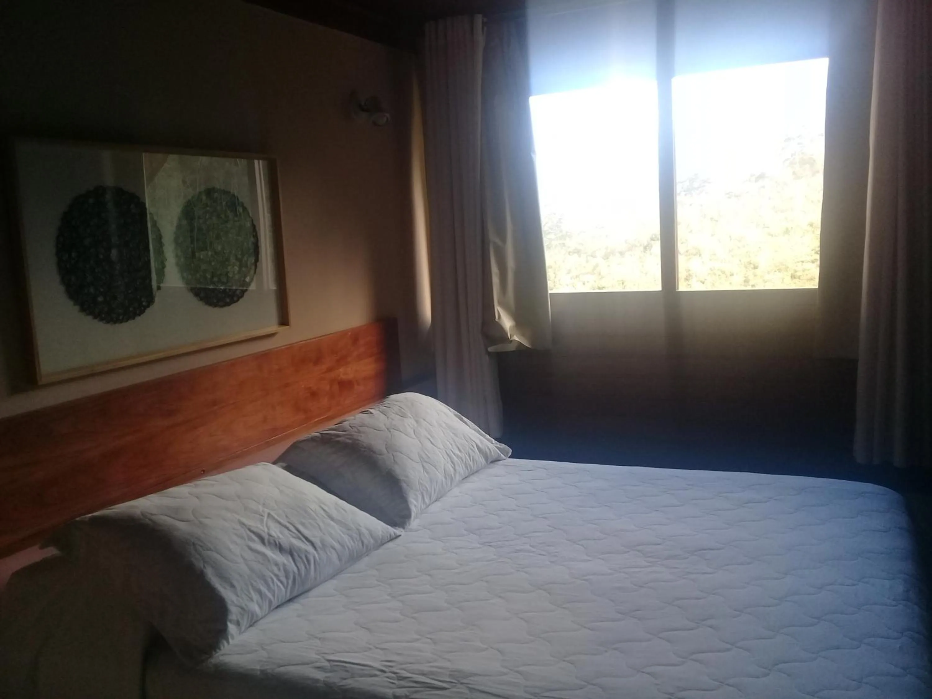Bed in Hotel Dominguez Master