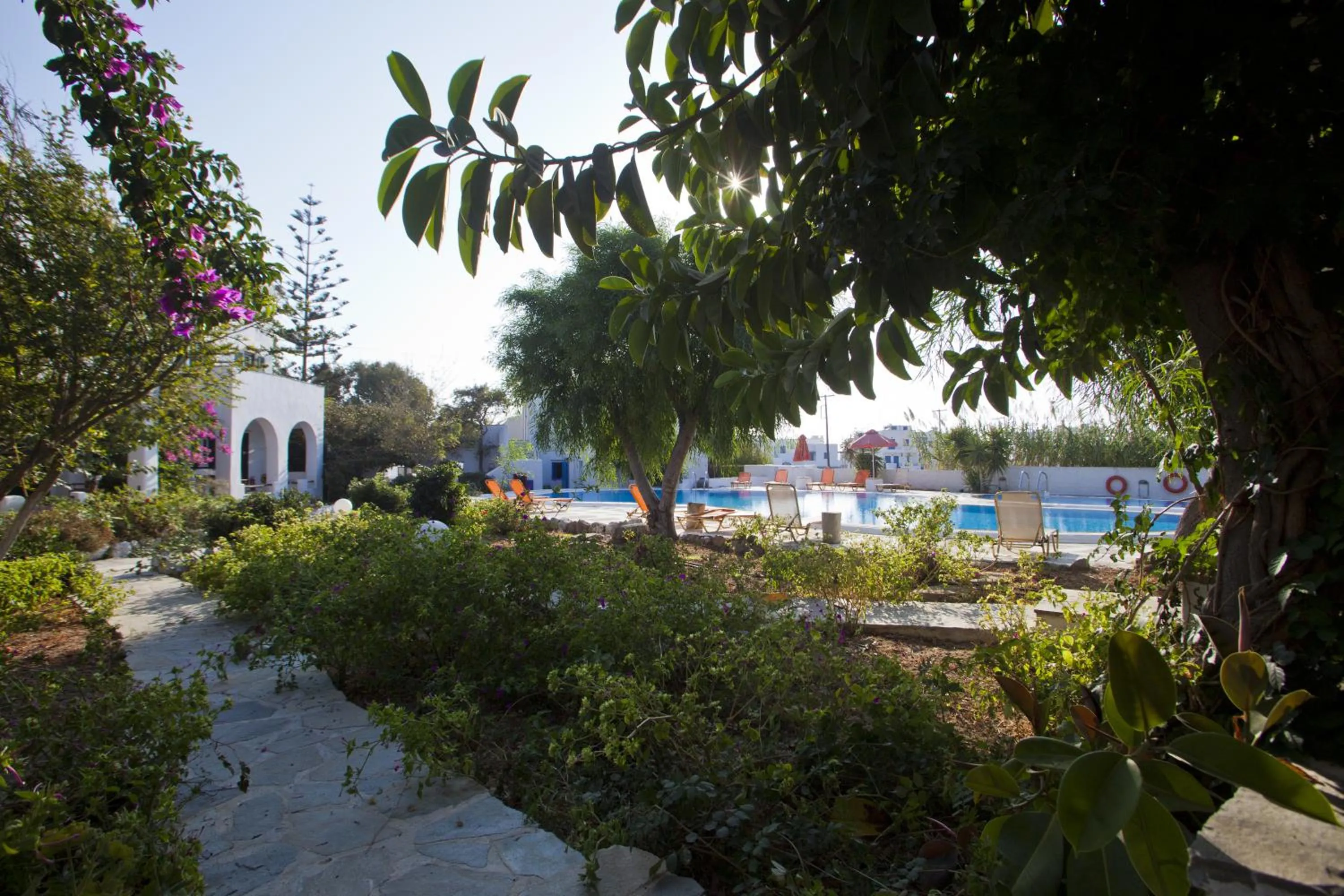 Garden in Something Else