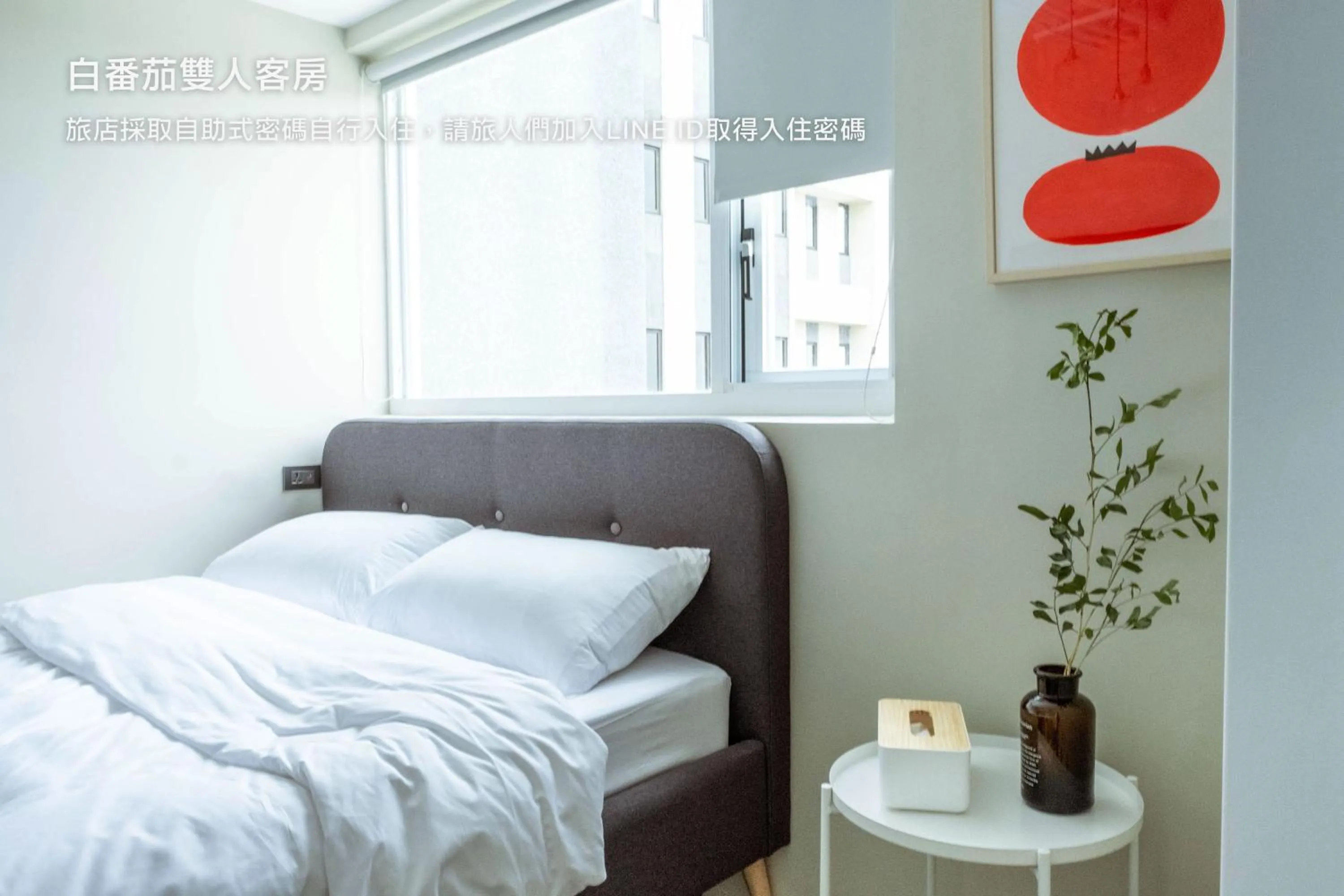 Bed in Hostel Tomato 番茄溫泉青旅