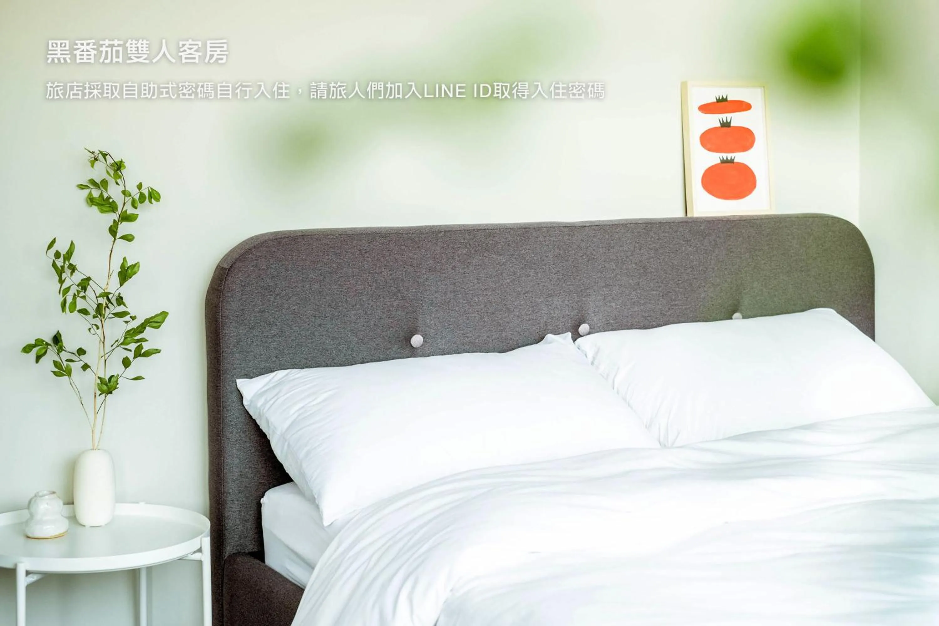 Bed in Hostel Tomato 番茄溫泉青旅