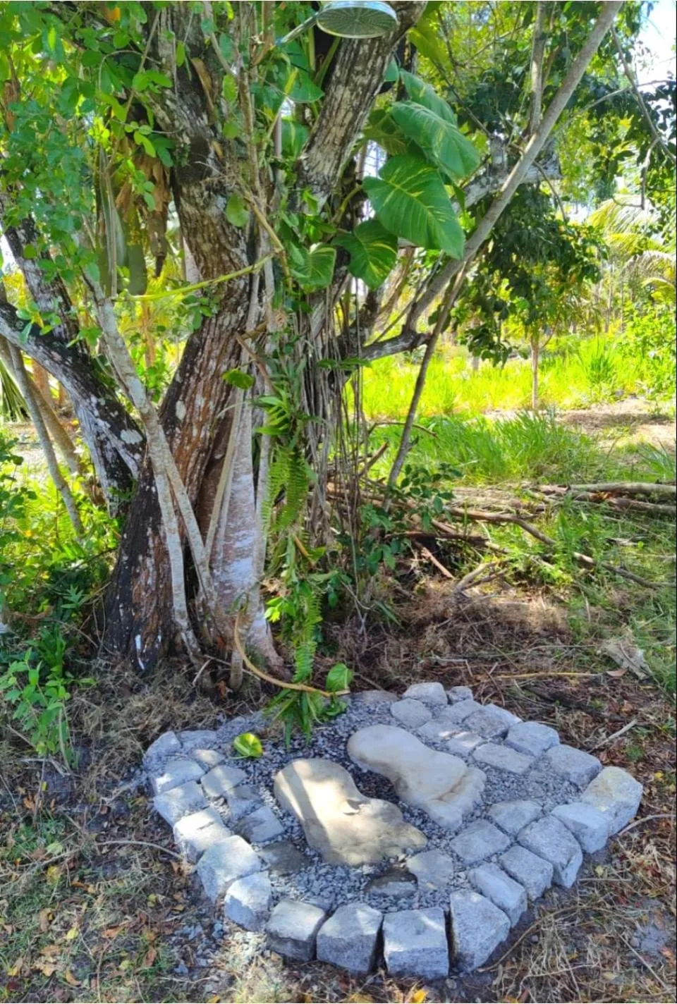 Property building in Fazenda Eco-Jardim