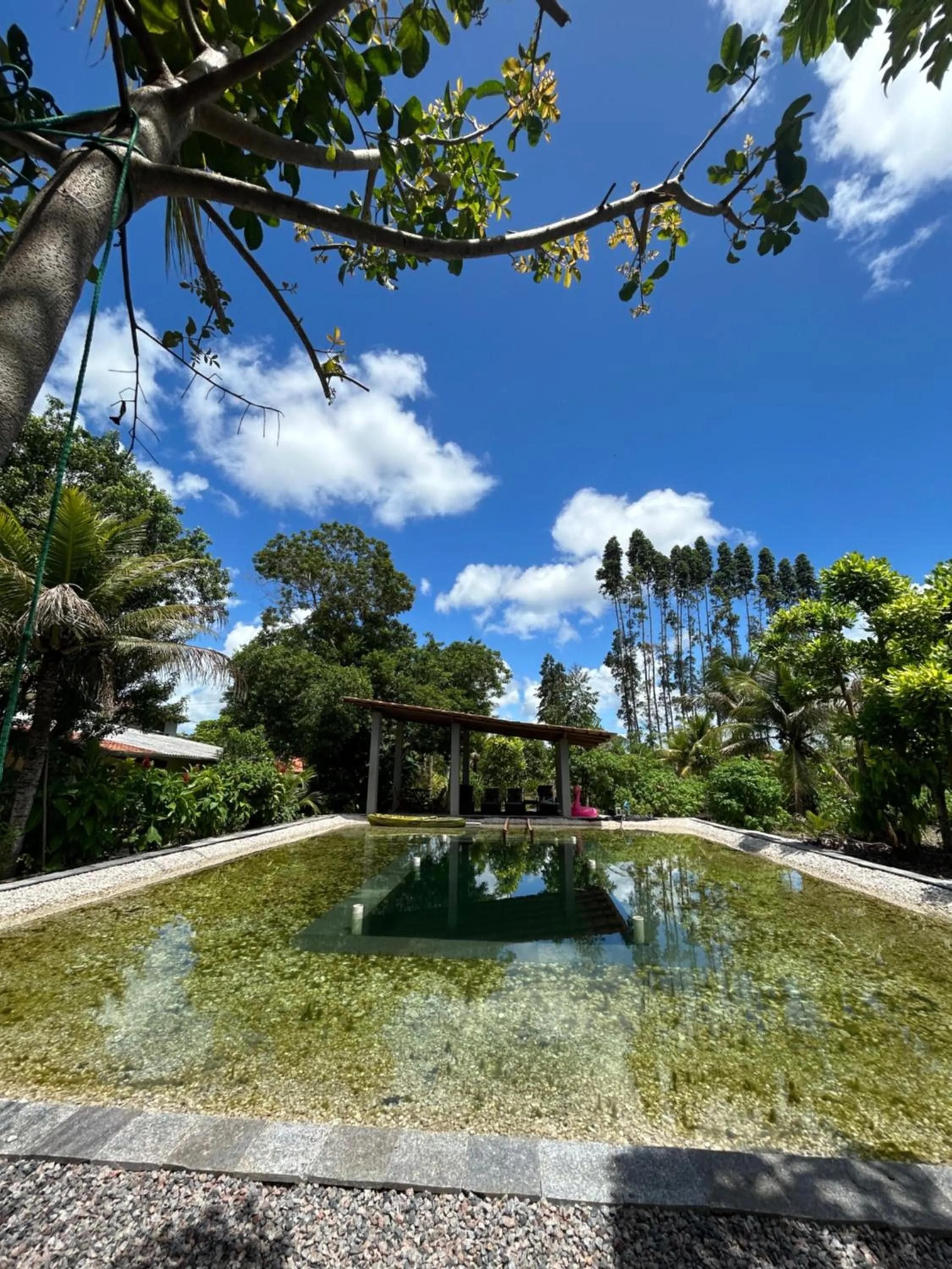 Swimming pool in Fazenda Eco-Jardim