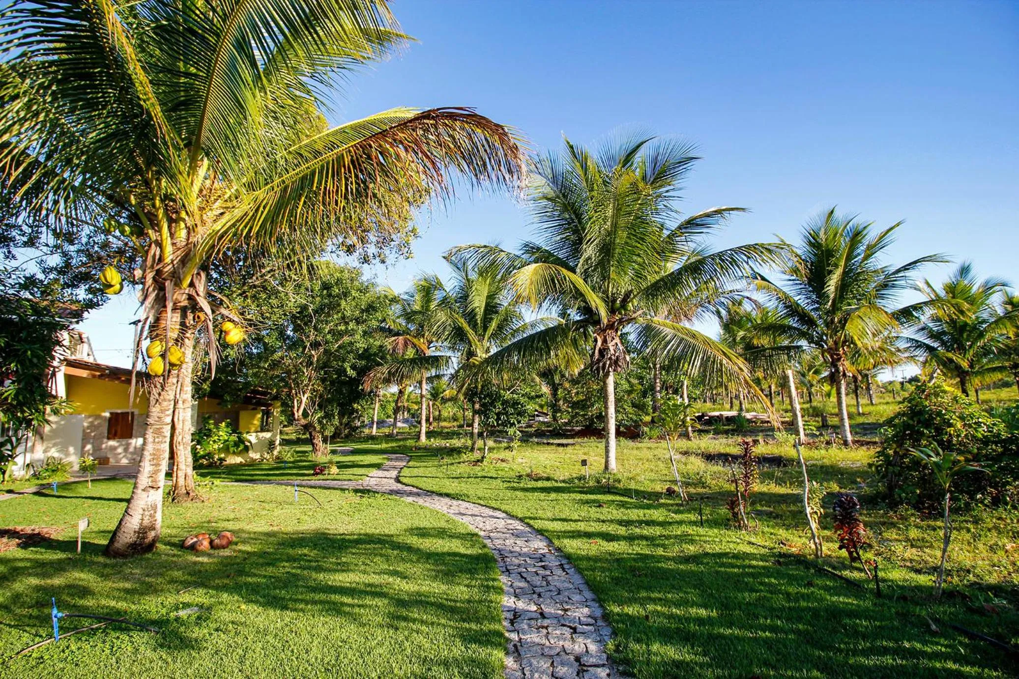 Garden in Fazenda Eco-Jardim