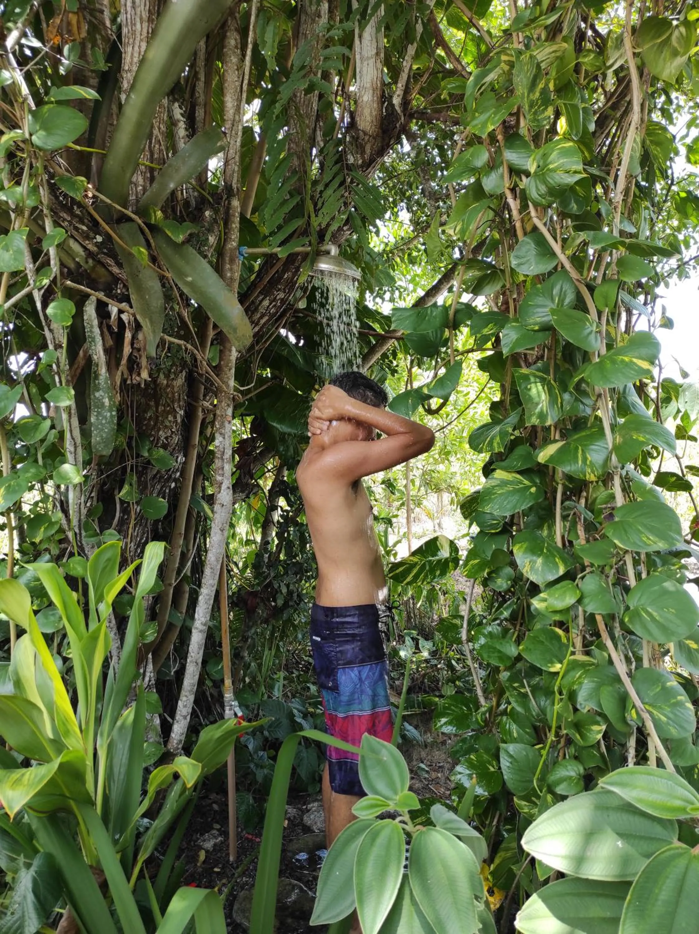 Swimming pool in Fazenda Eco-Jardim