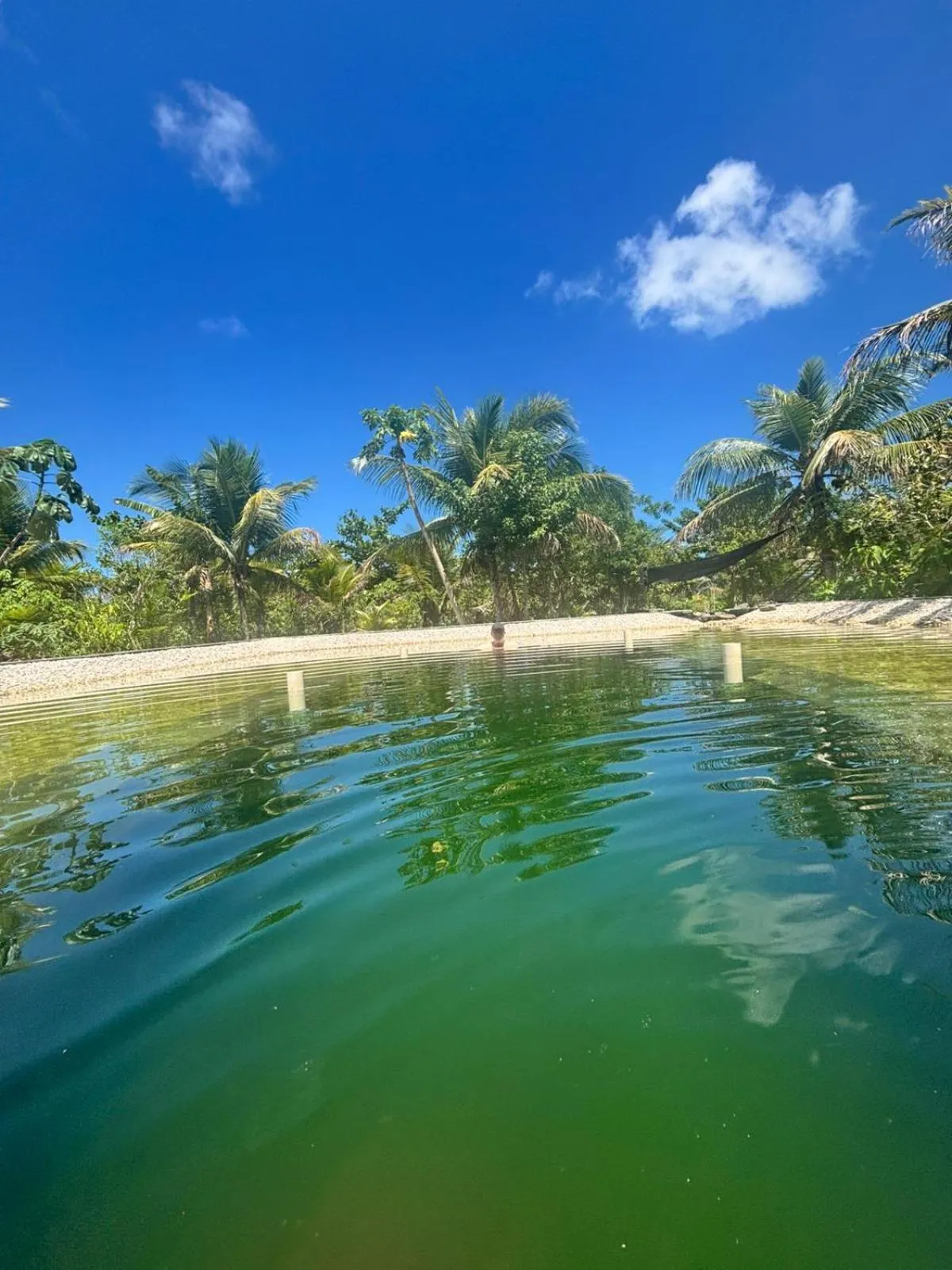 Swimming pool in Fazenda Eco-Jardim