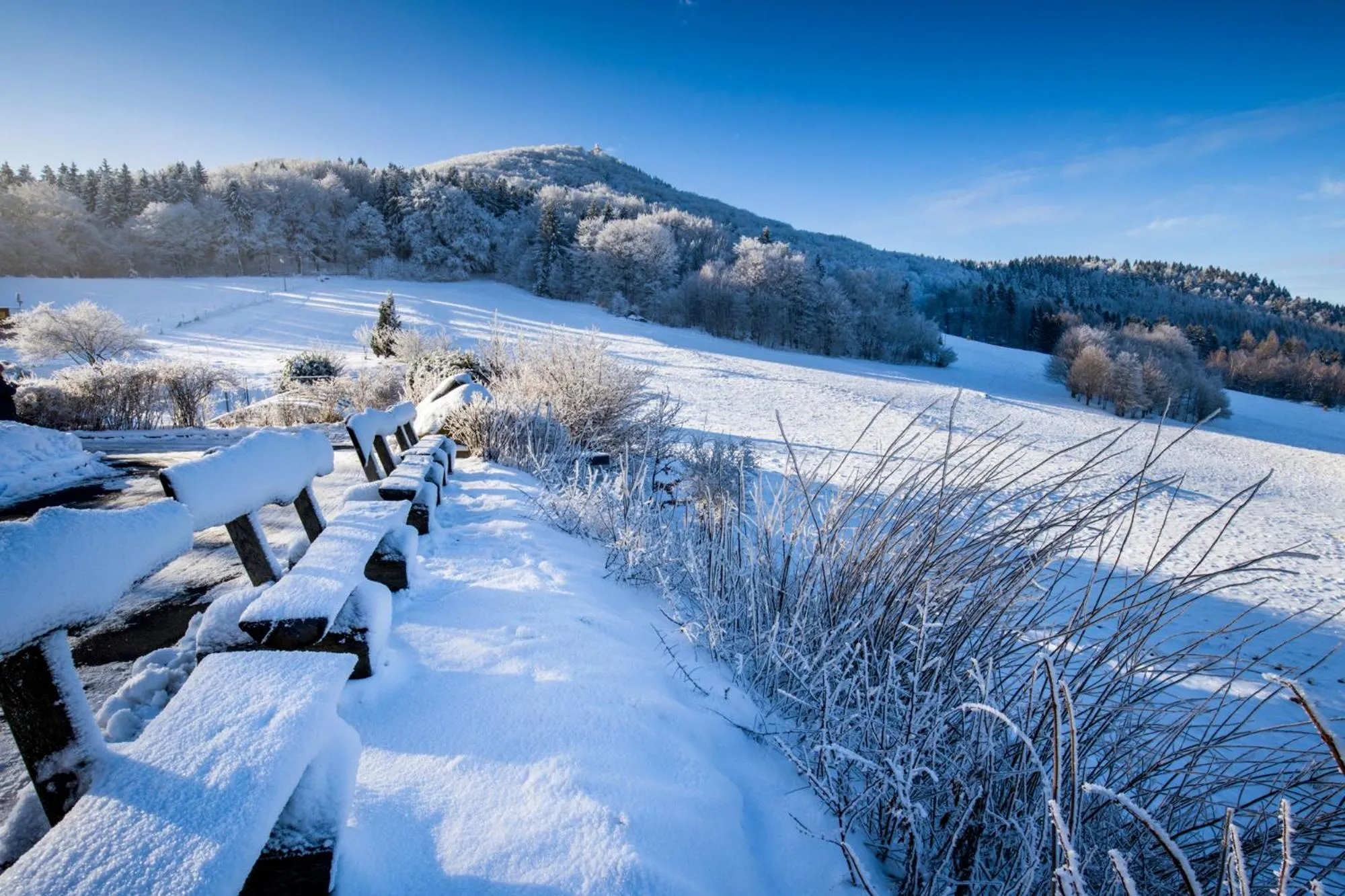 Natural landscape in Rübezahlbaude