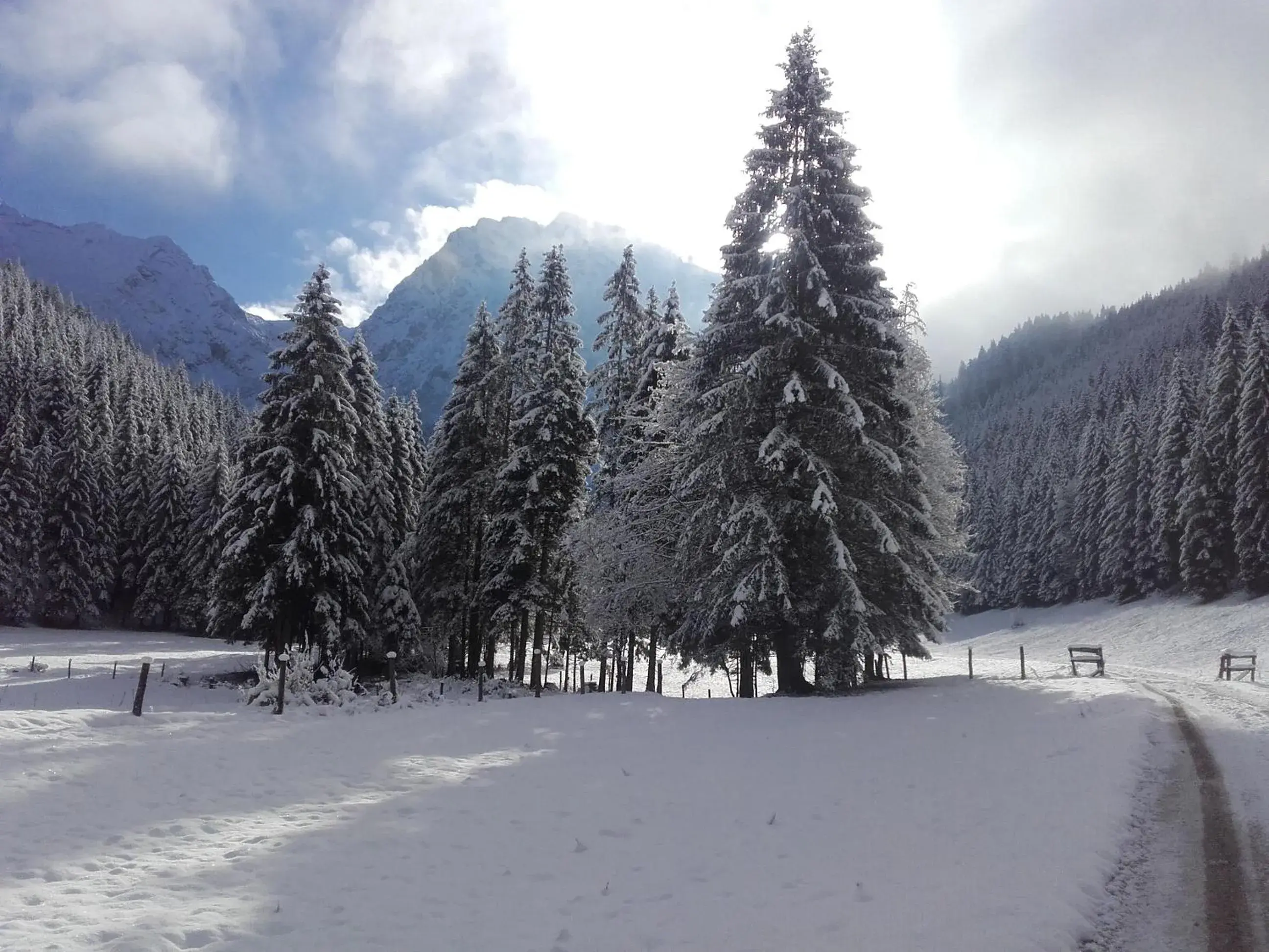Six-Bedroom House in Landhotel Oberwengerhof Six-Bedroom House in Landhotel Oberwengerhof