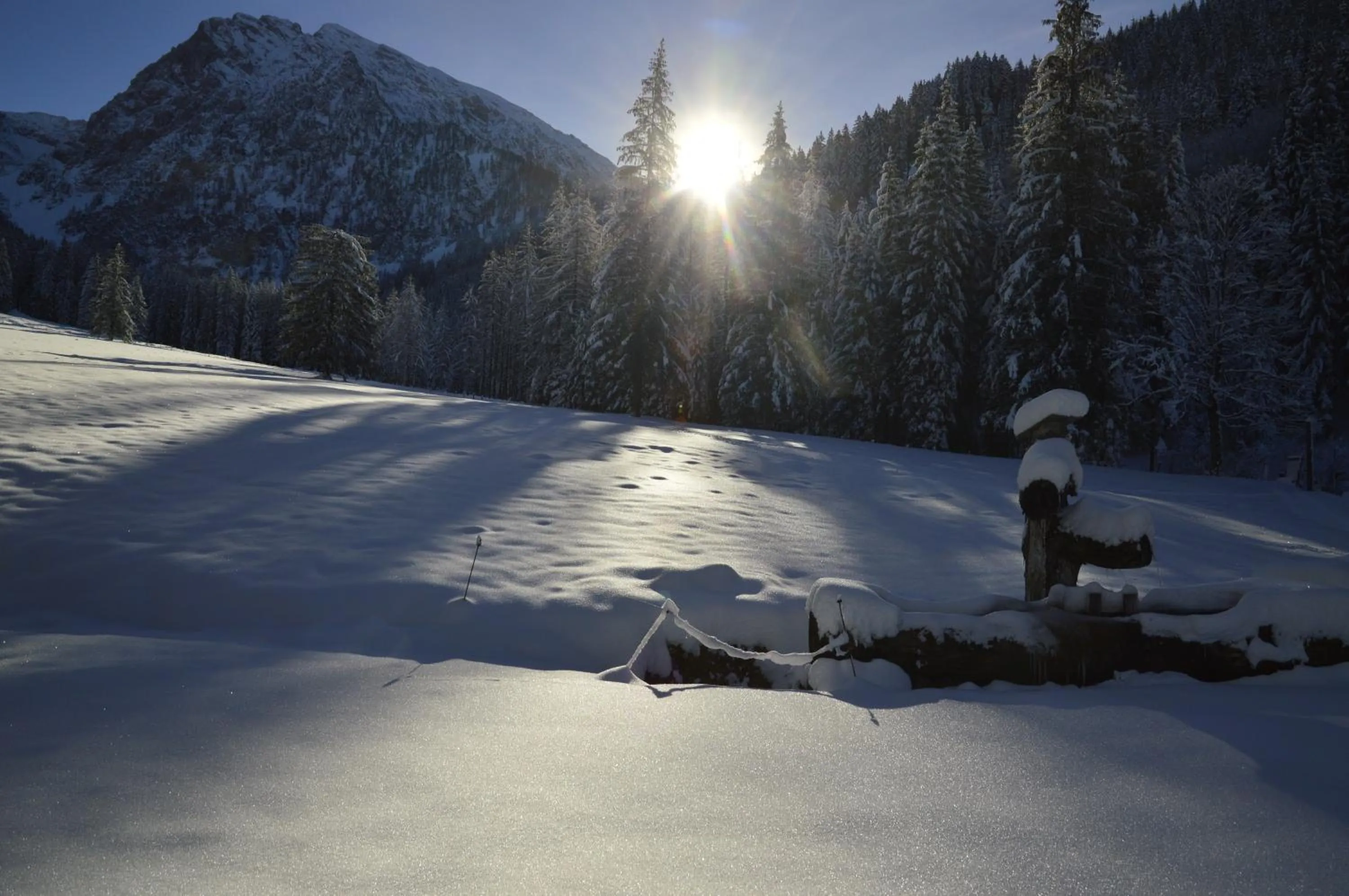 Winter in Landhotel Oberwengerhof