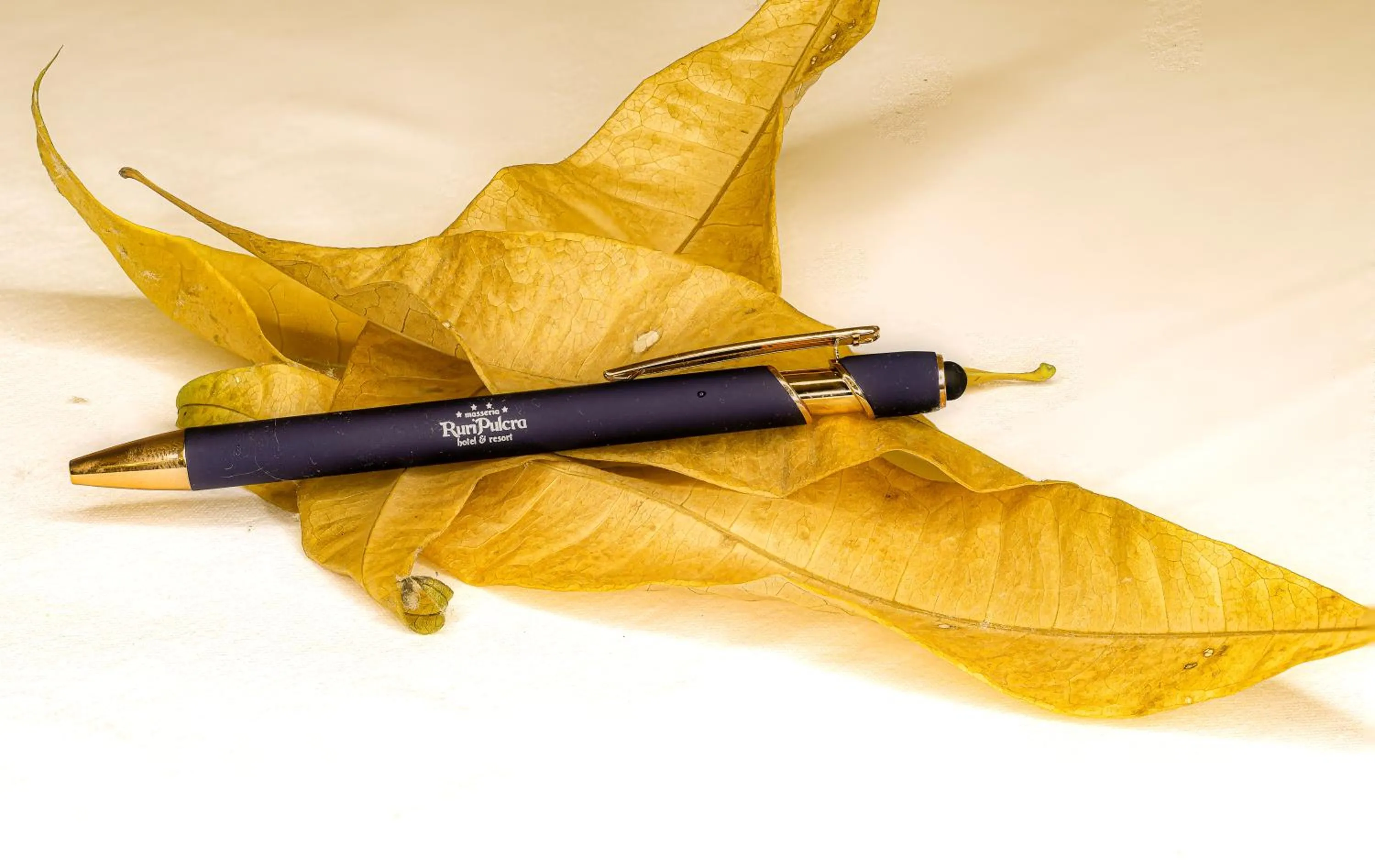 Decorative detail in Masseria Ruri Pulcra