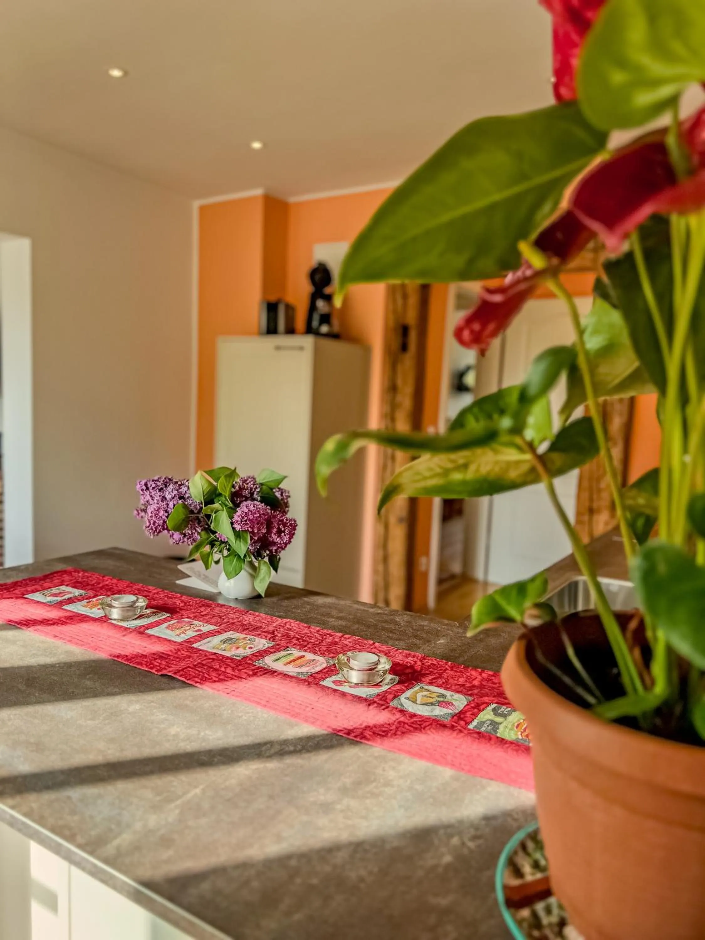 Kitchen or kitchenette in Insel-Hof Reichenau Hotel-garni