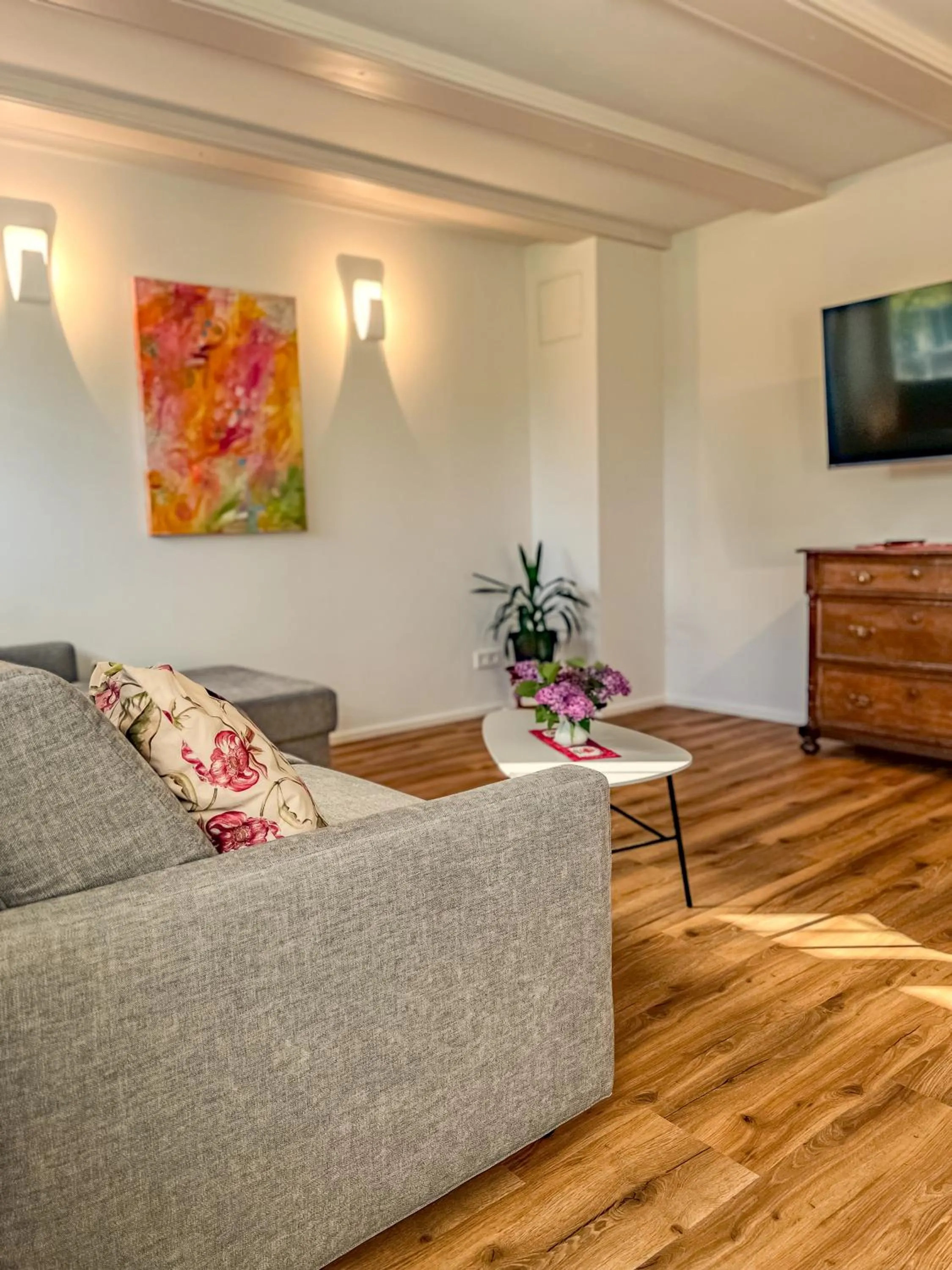 TV and multimedia in Insel-Hof Reichenau Hotel-garni