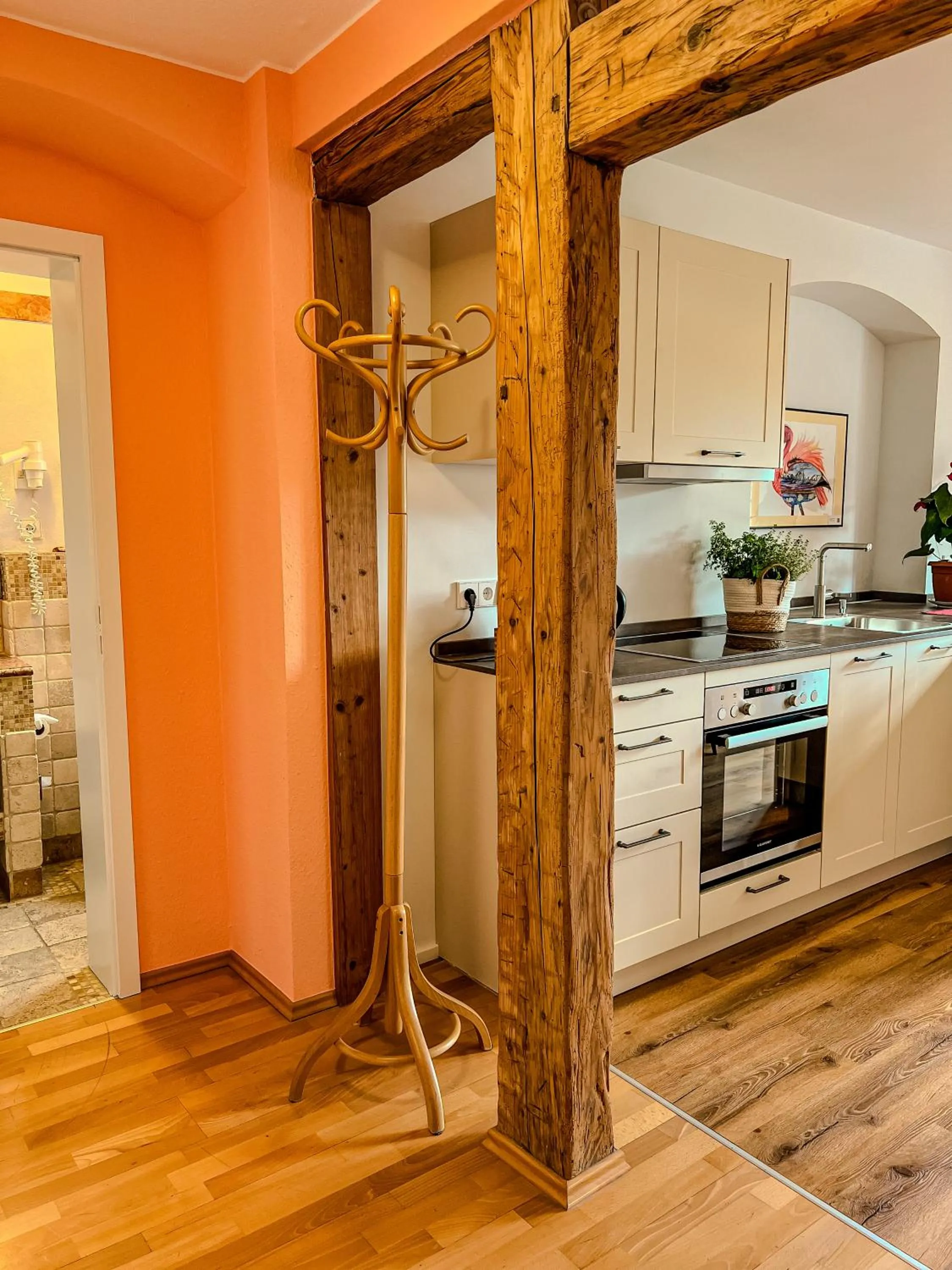 Kitchen or kitchenette in Insel-Hof Reichenau Hotel-garni