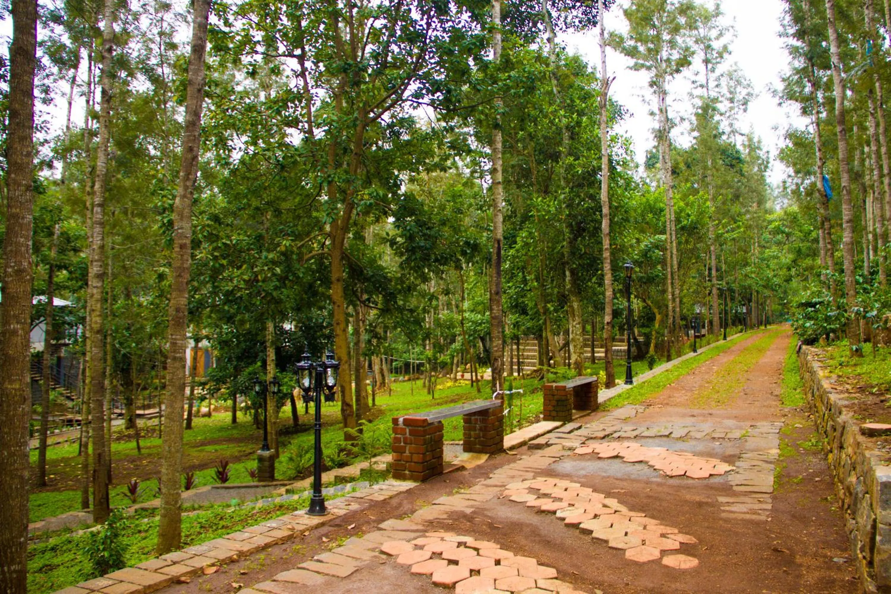 Natural landscape in Mainland Resorts & Spa by Kolaahalam