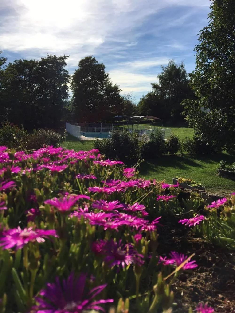 Natural landscape in Hôtel du Château
