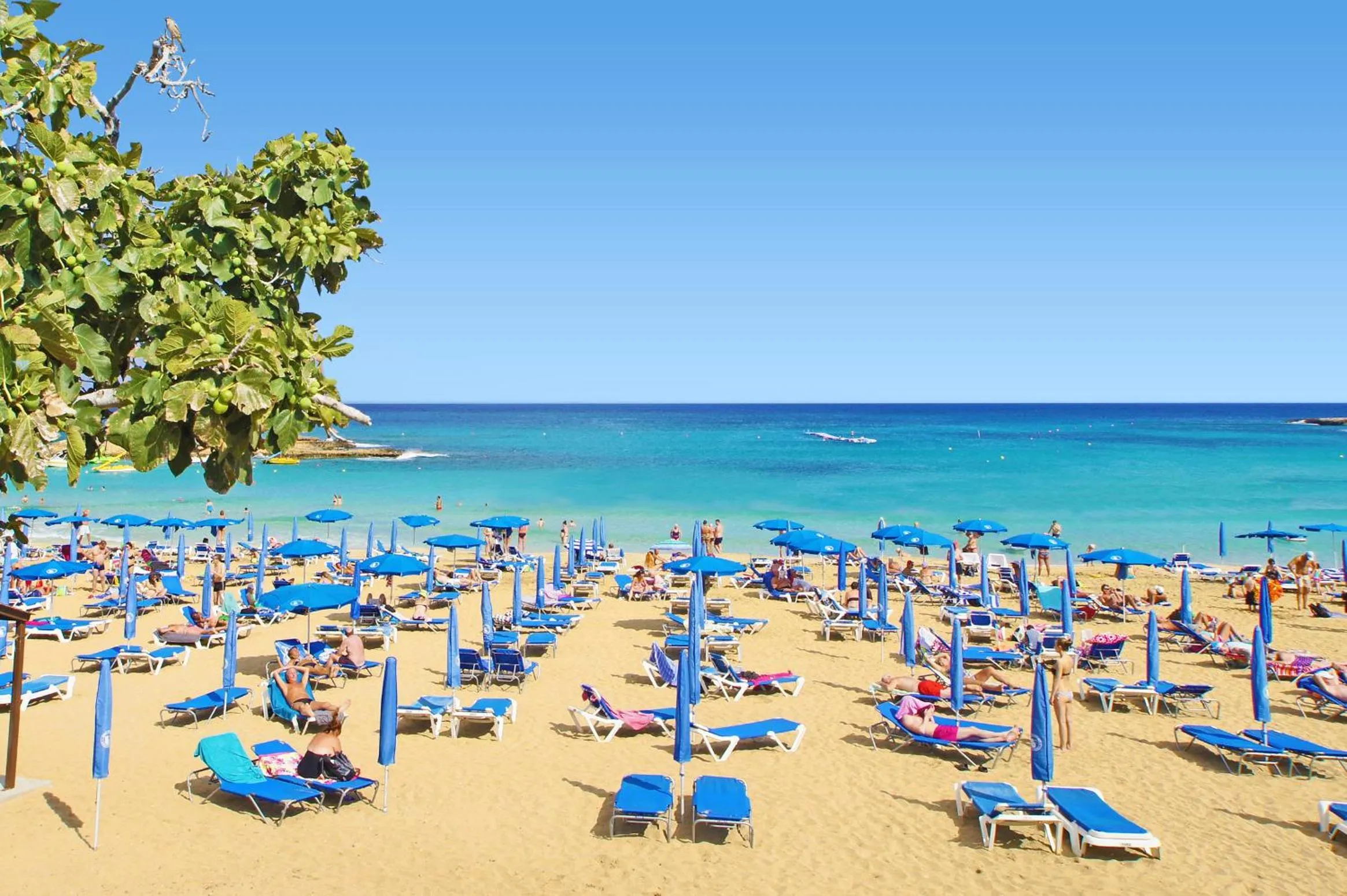 Beach in Villa Melody