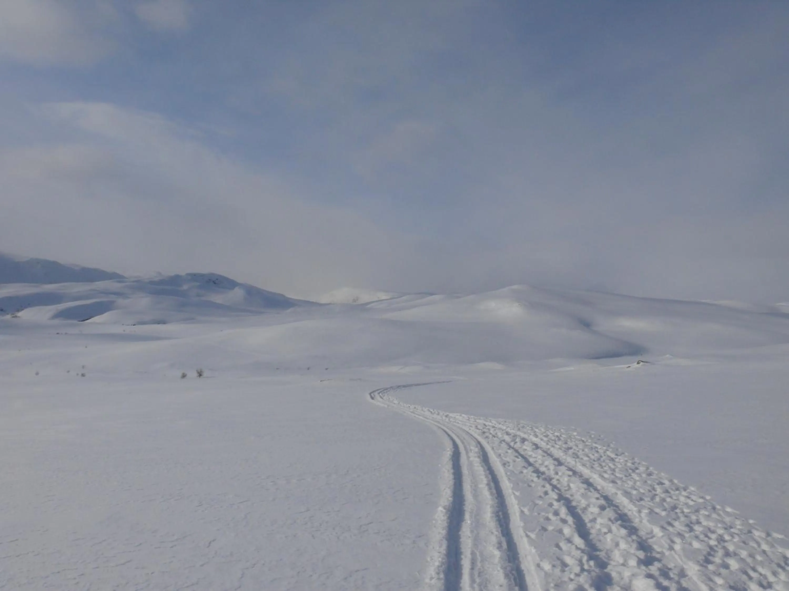 Skiing in Stora Björnstugan