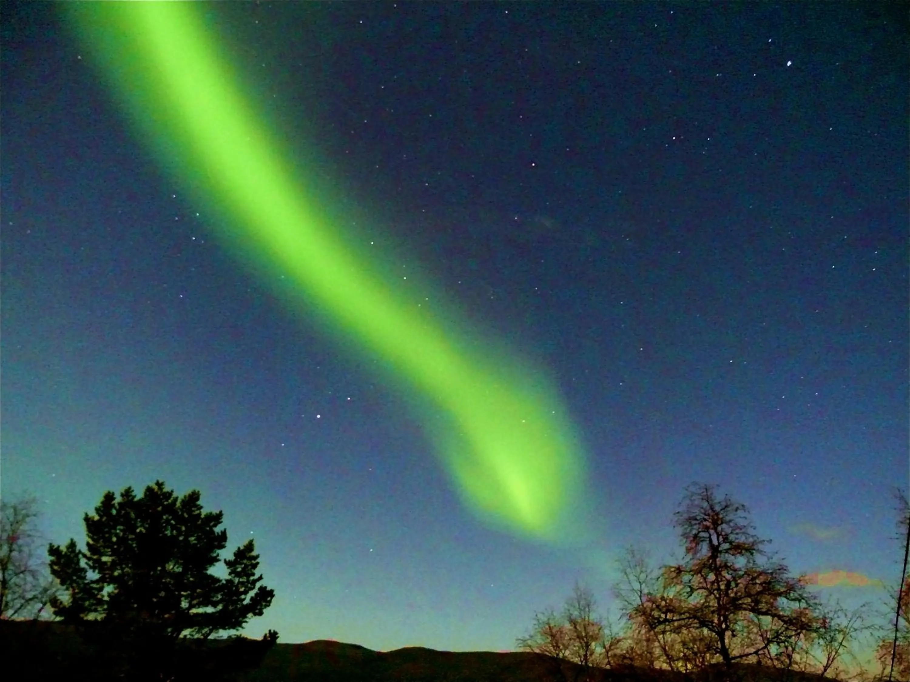 View (from property/room) in Stora Björnstugan