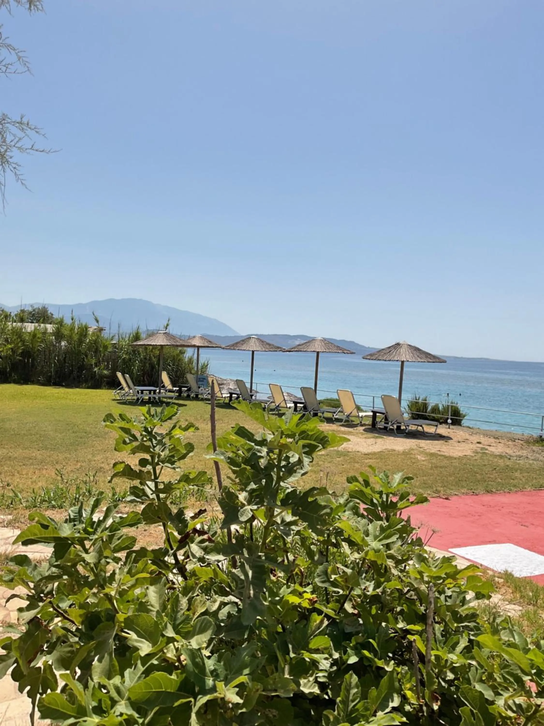 Natural landscape in Kefalonia Beach Hotel & Bungalows