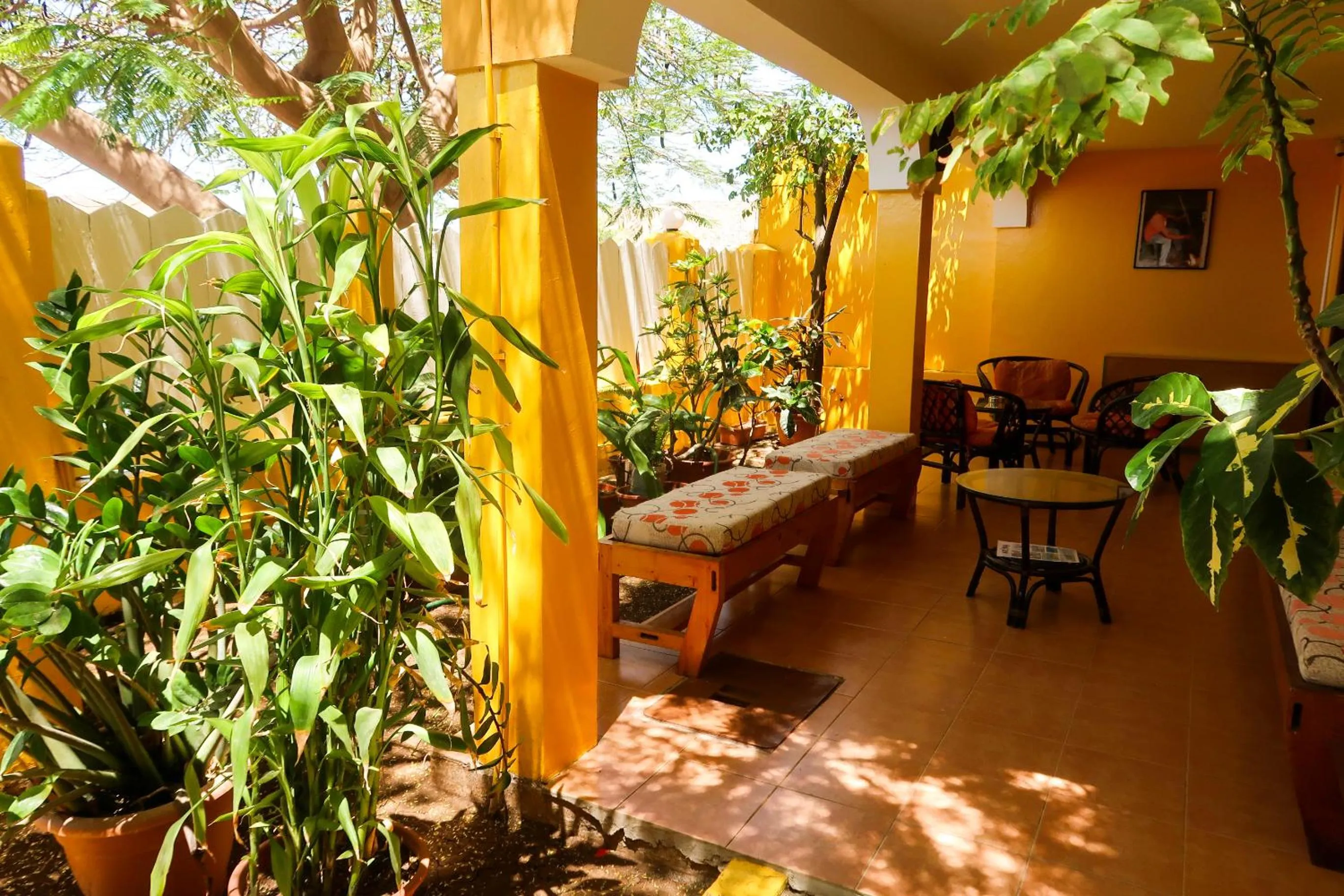 O Jardim do Vinho, AC