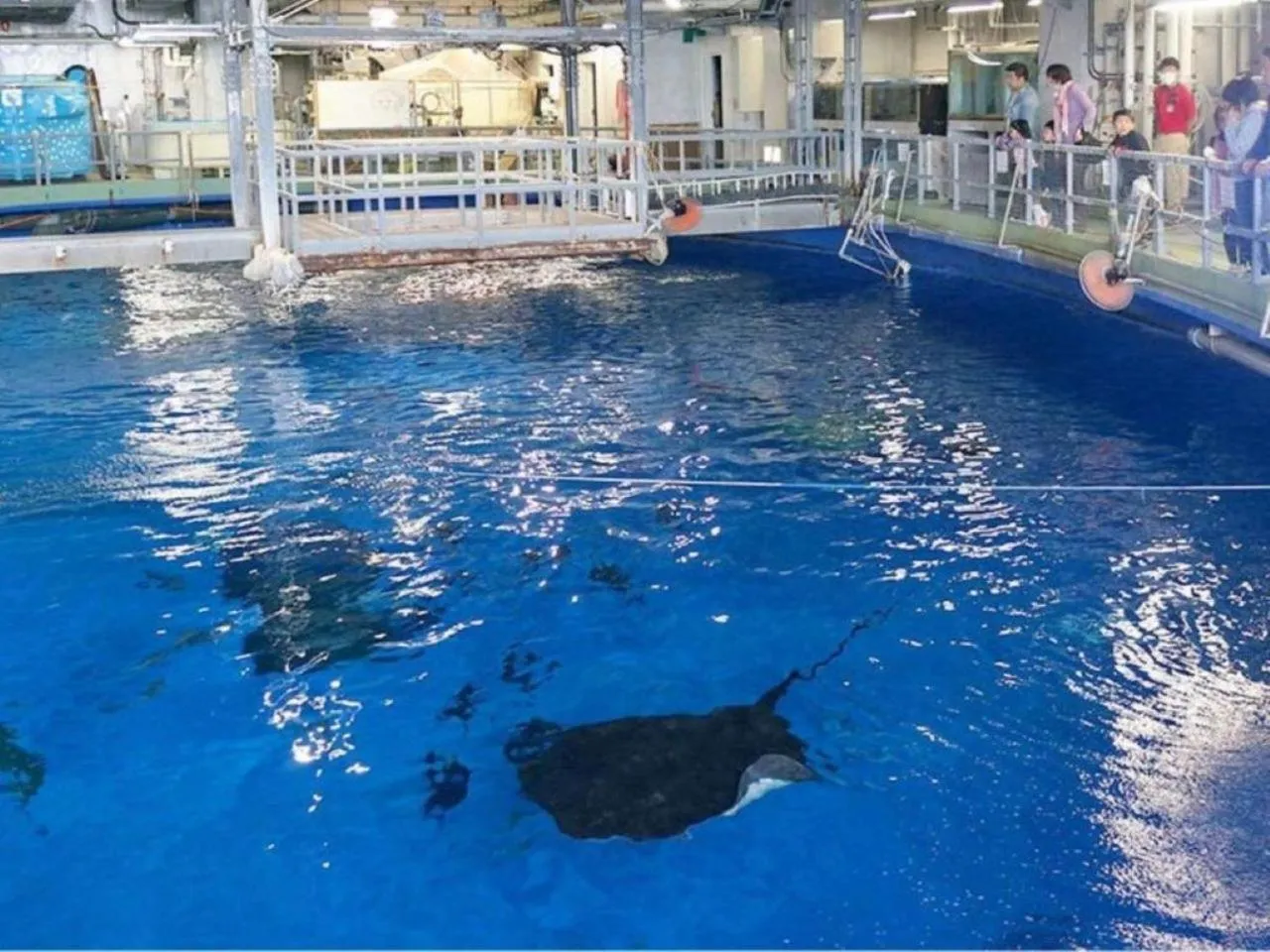 Nearby landmark in Hotel Gate In Kagoshima