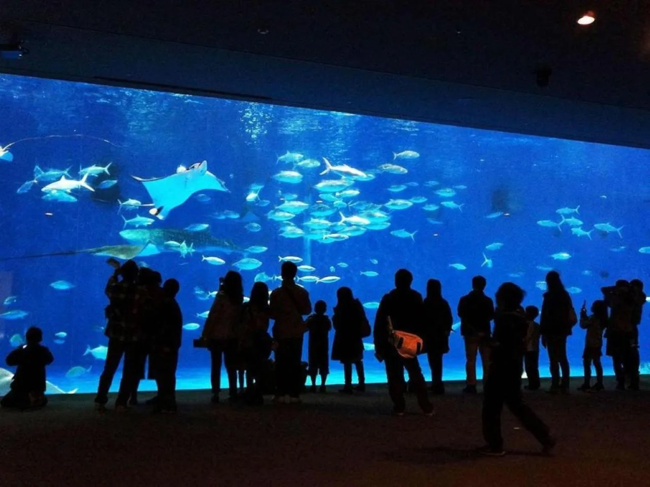 Nearby landmark in Hotel Gate In Kagoshima