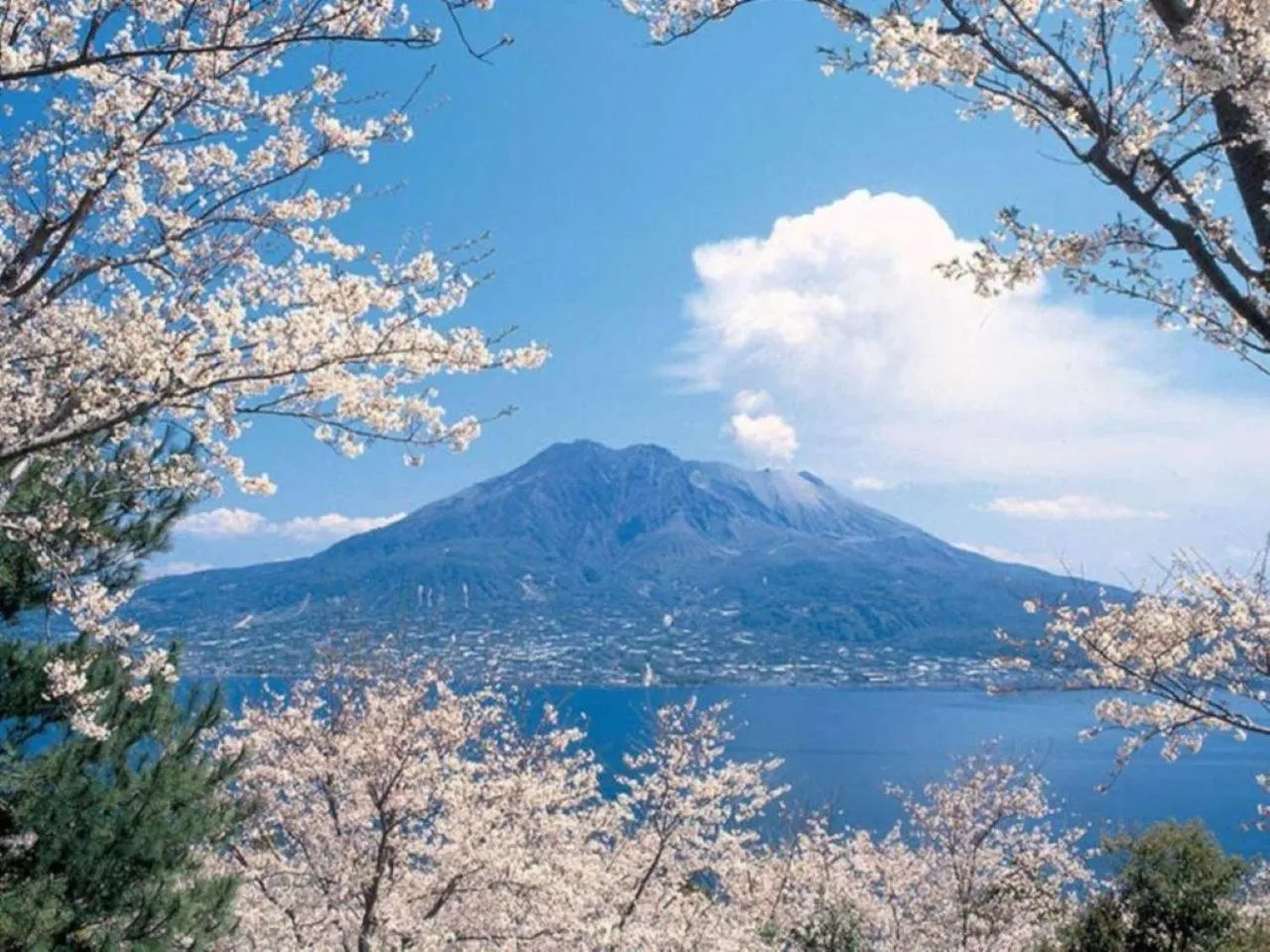 Nearby landmark in Hotel Gate In Kagoshima