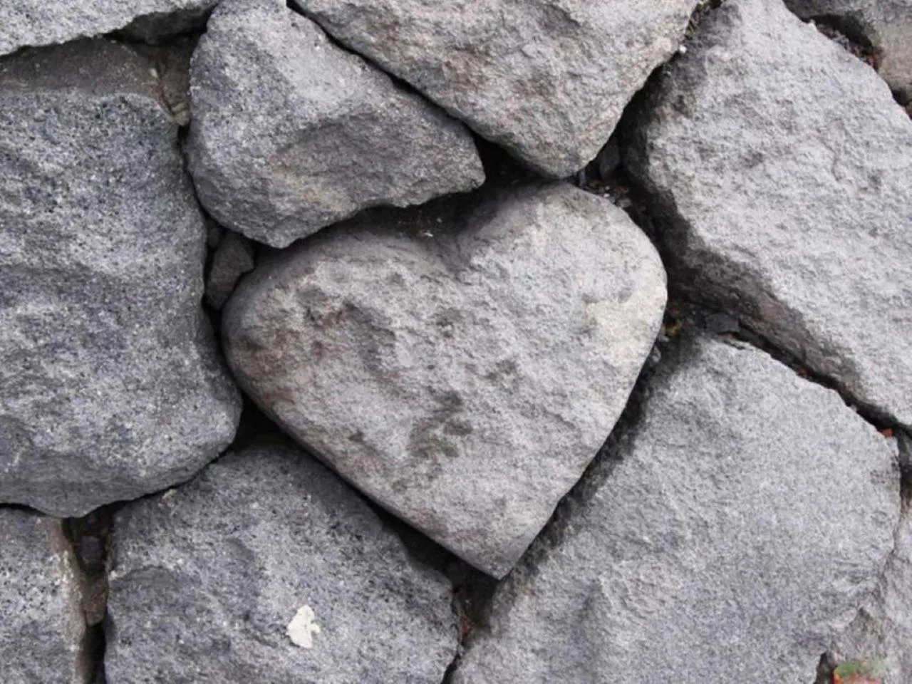 Nearby landmark in Hotel Gate In Kagoshima