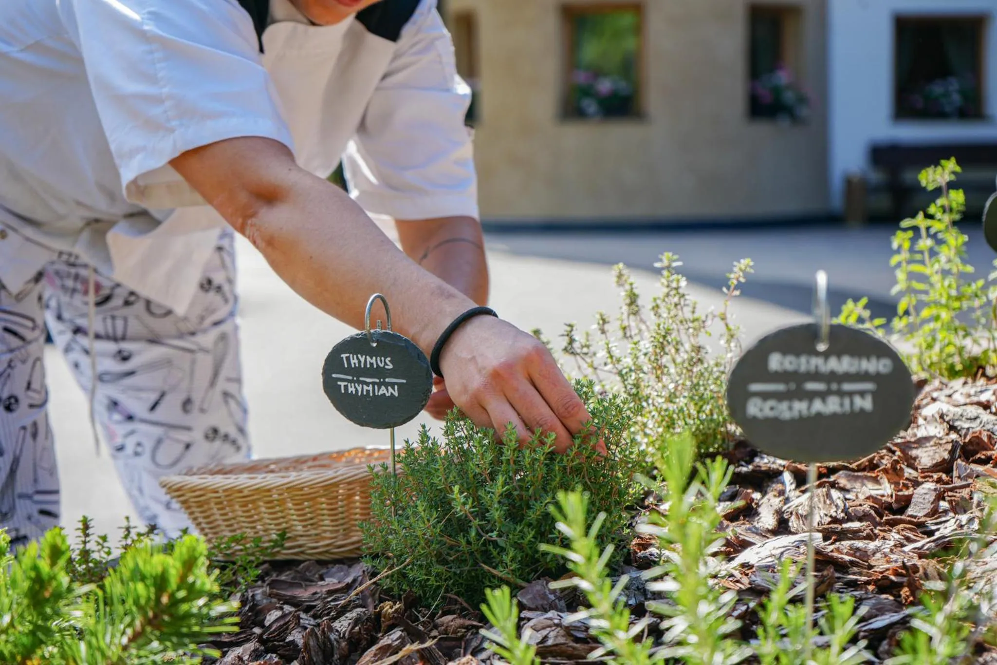 Spring in Hotel Pozzamanigoni