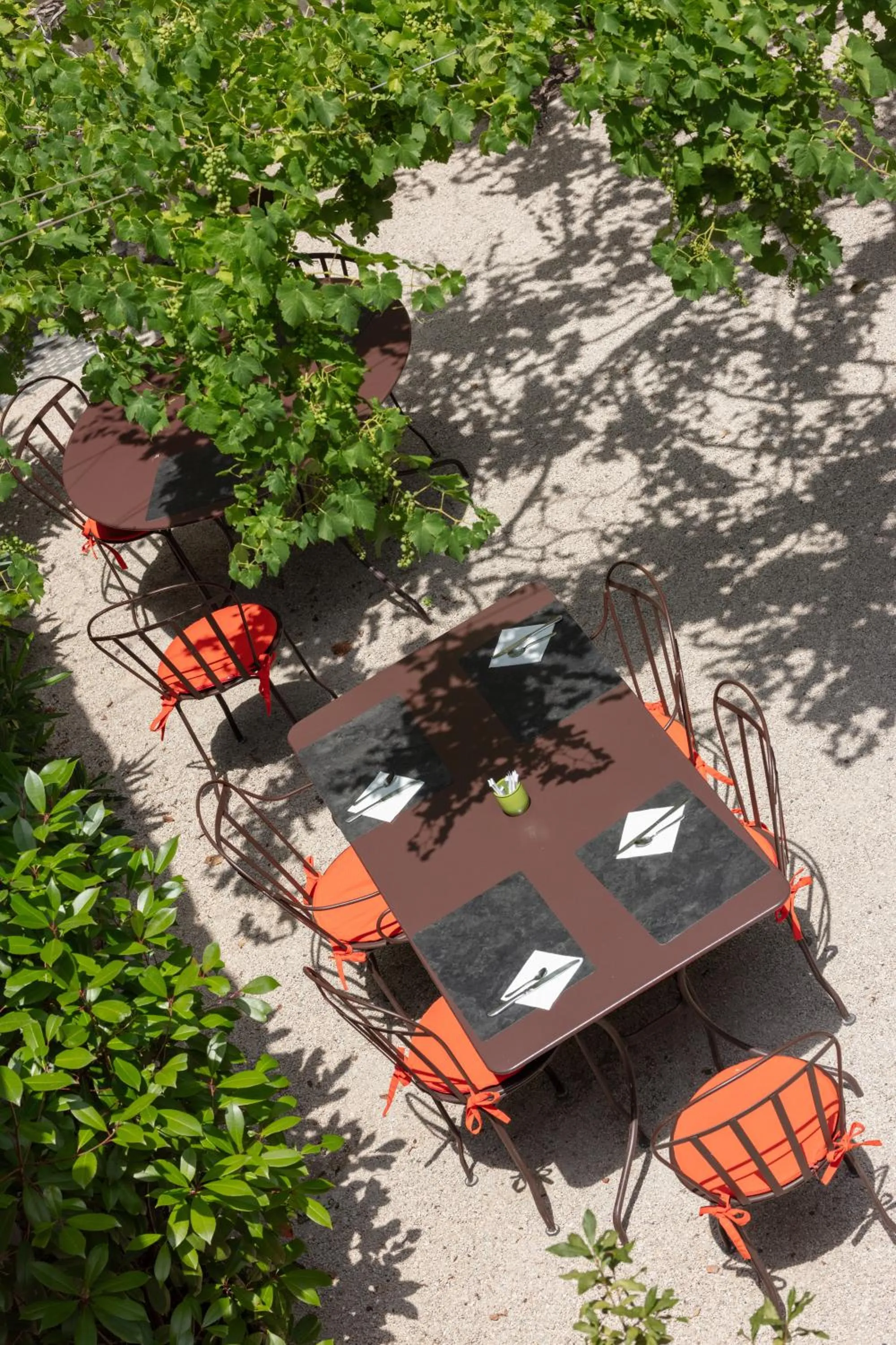 Garden in Hotel De L'Atelier