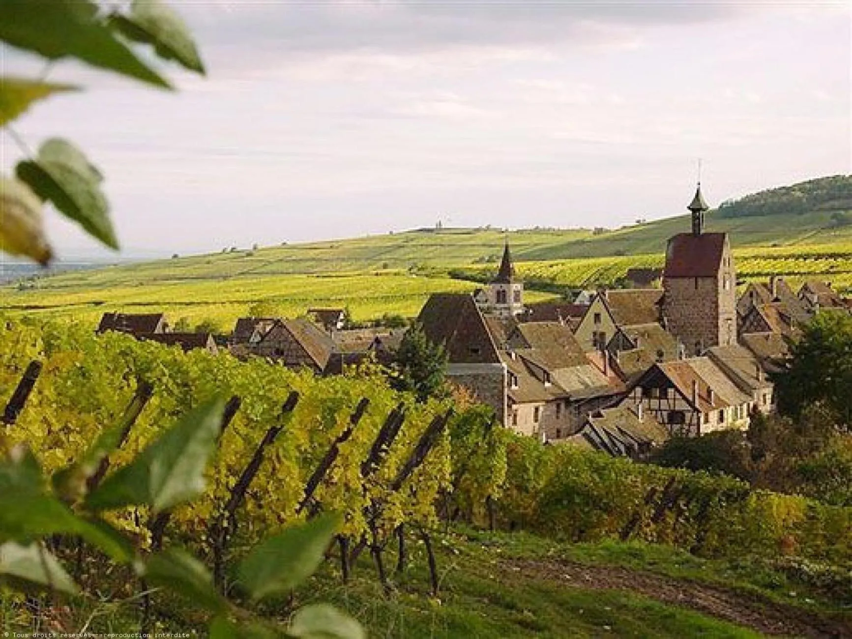 Area and facilities in Fast Hotel Colmar Houssen