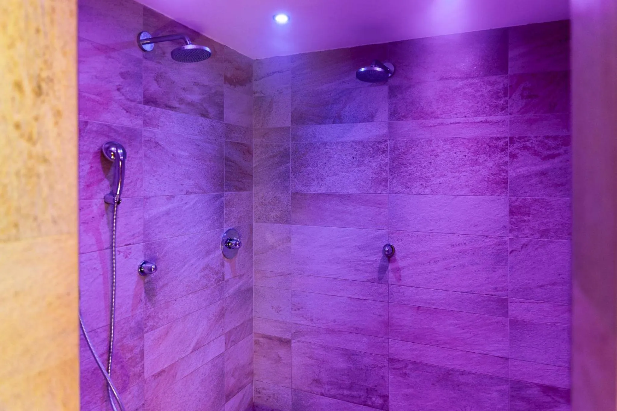 Shower in Brit Hotel, Spa & Restaurant - Colmar Est