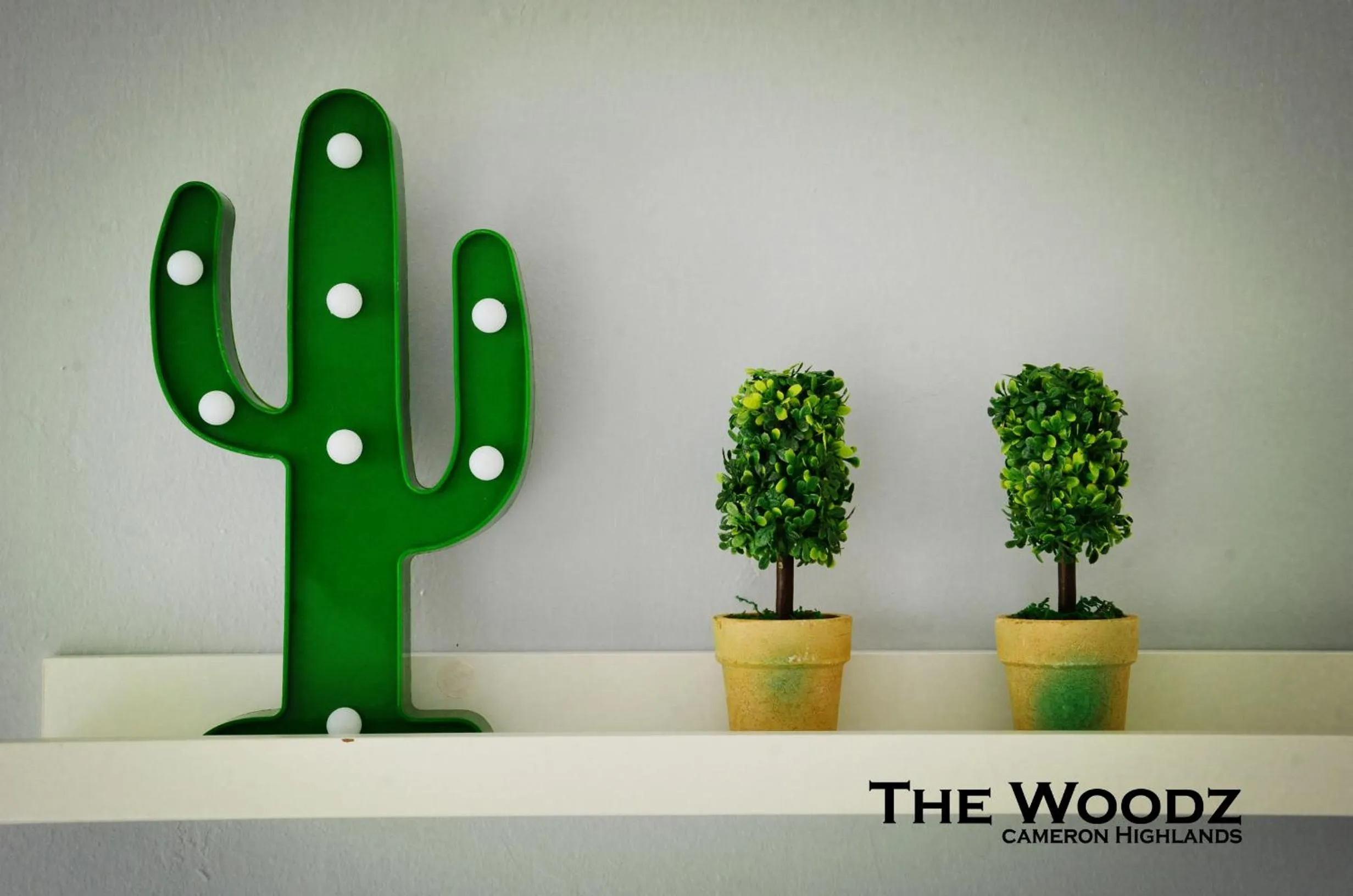 The Woodz Homestay - 2 Storey Landed House