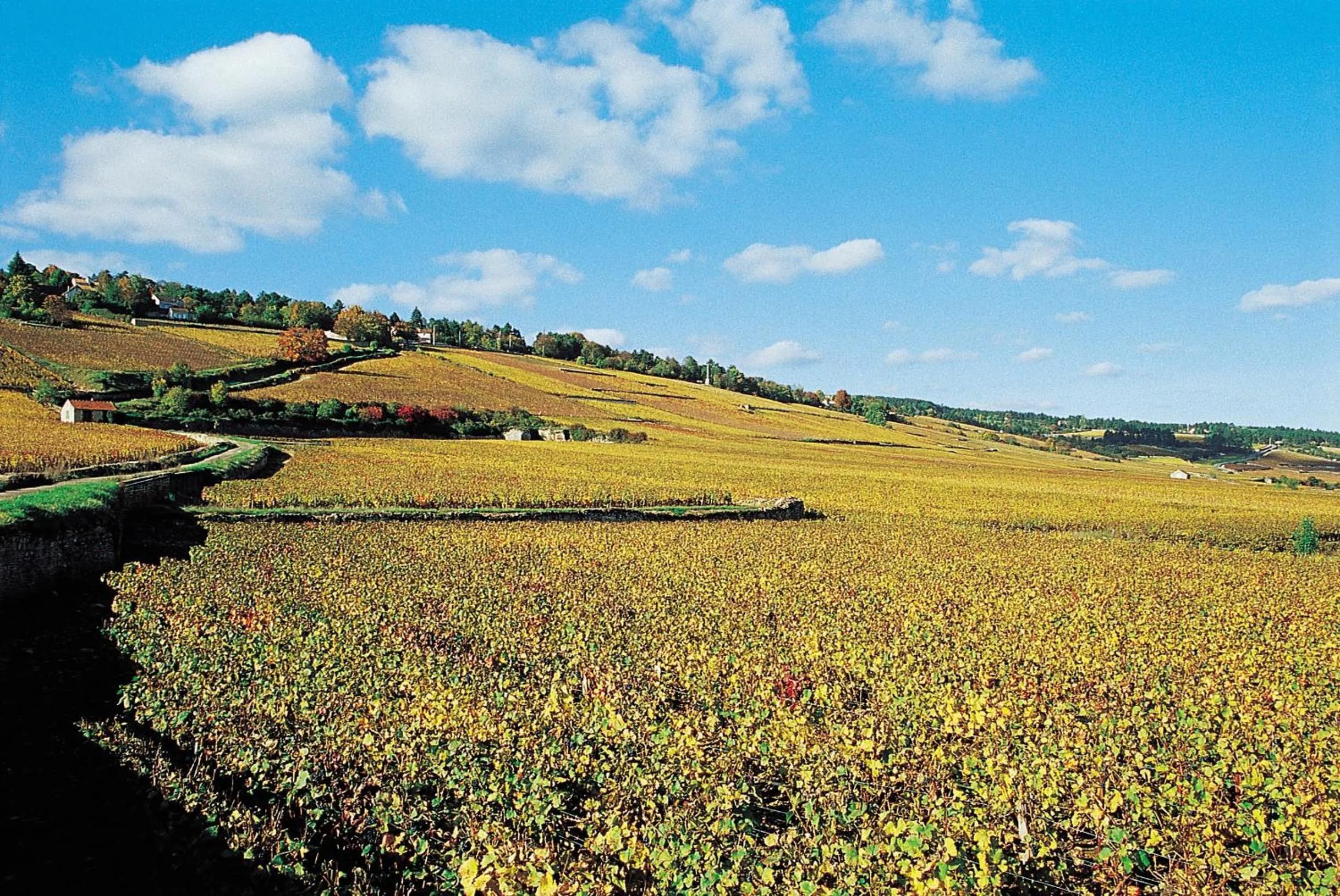 Natural landscape in Résidence VTF Les Allées du Green