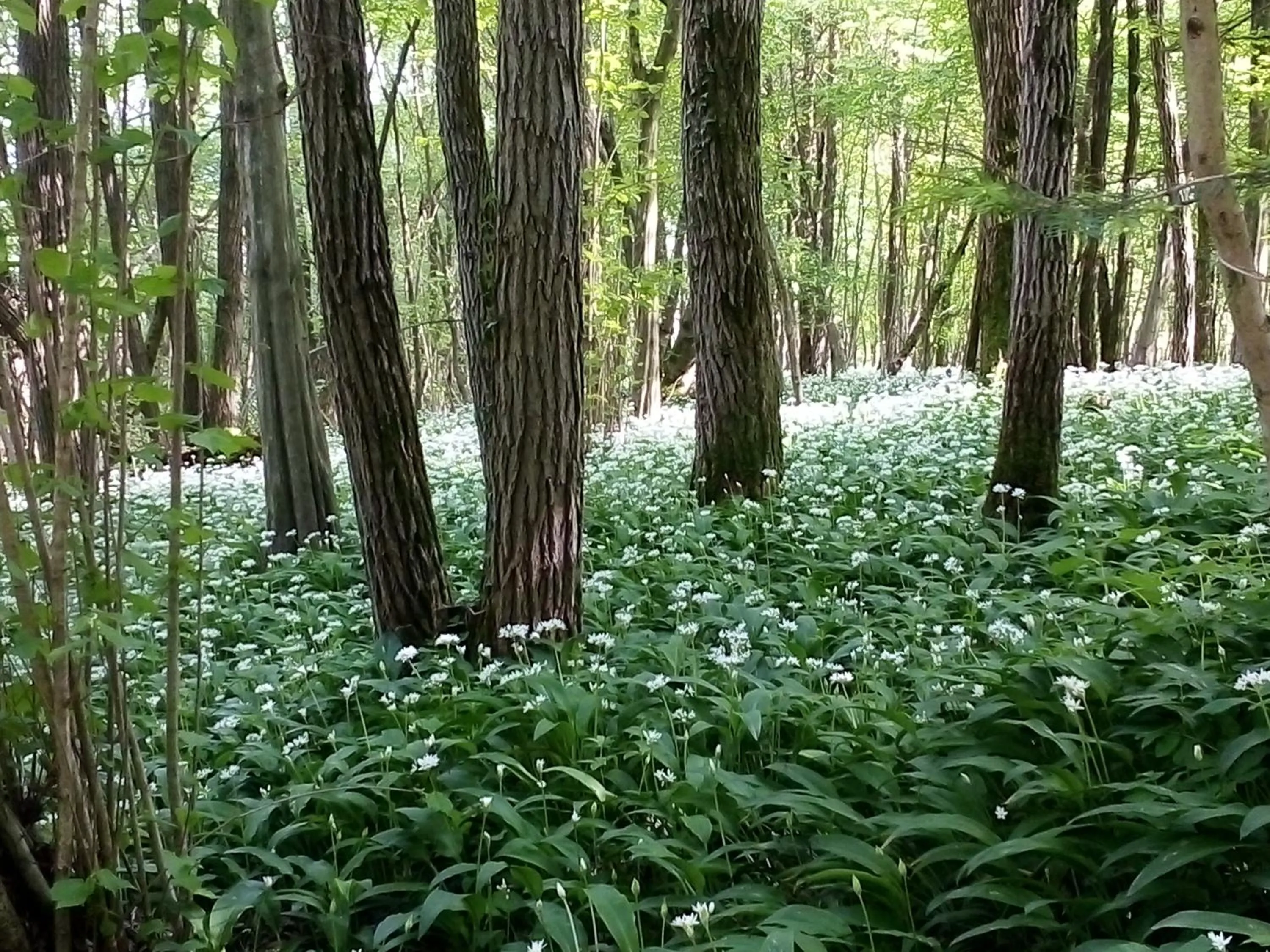 Natural landscape in B&B La casa di Loretta