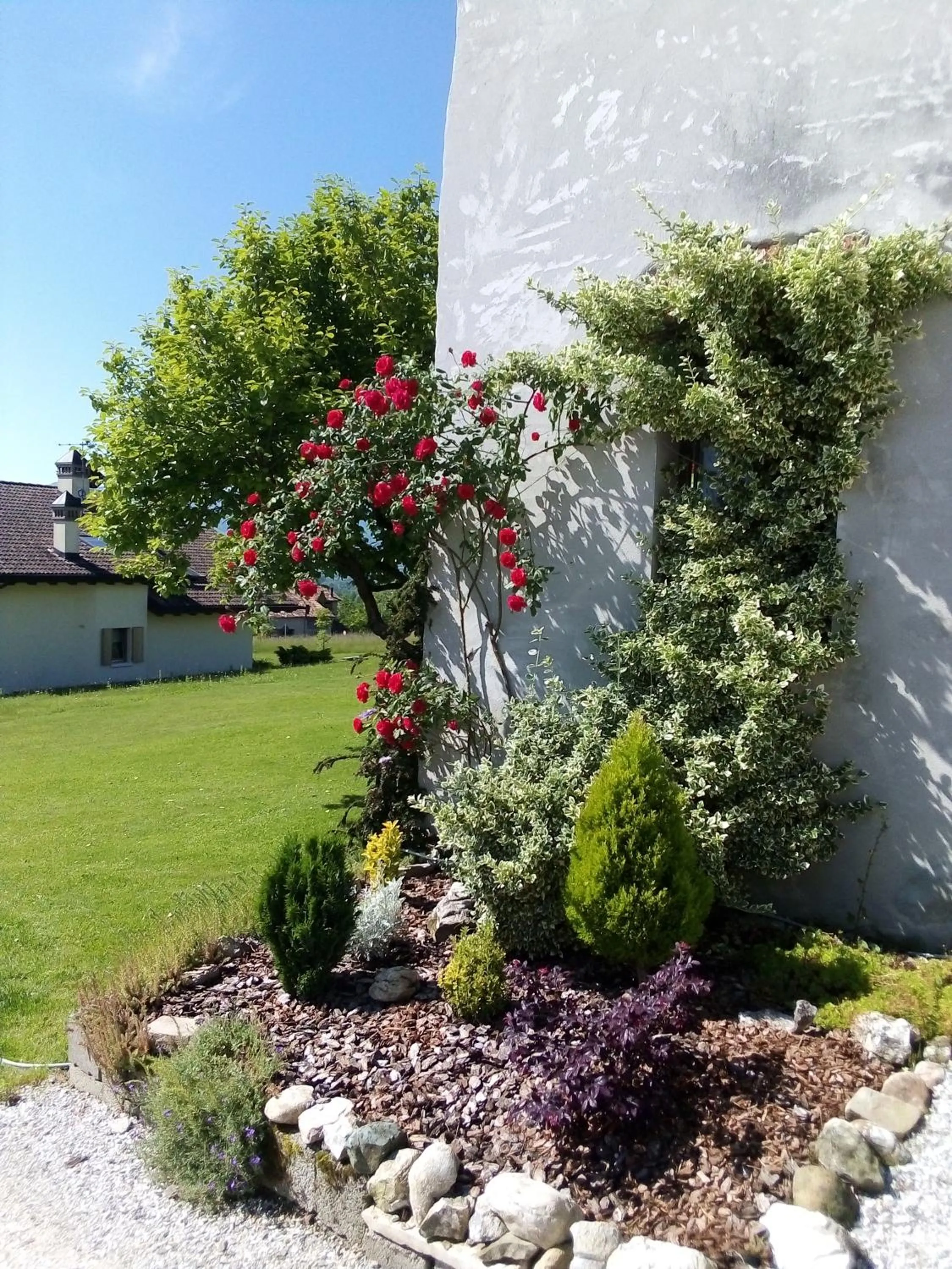 Garden in B&B La casa di Loretta